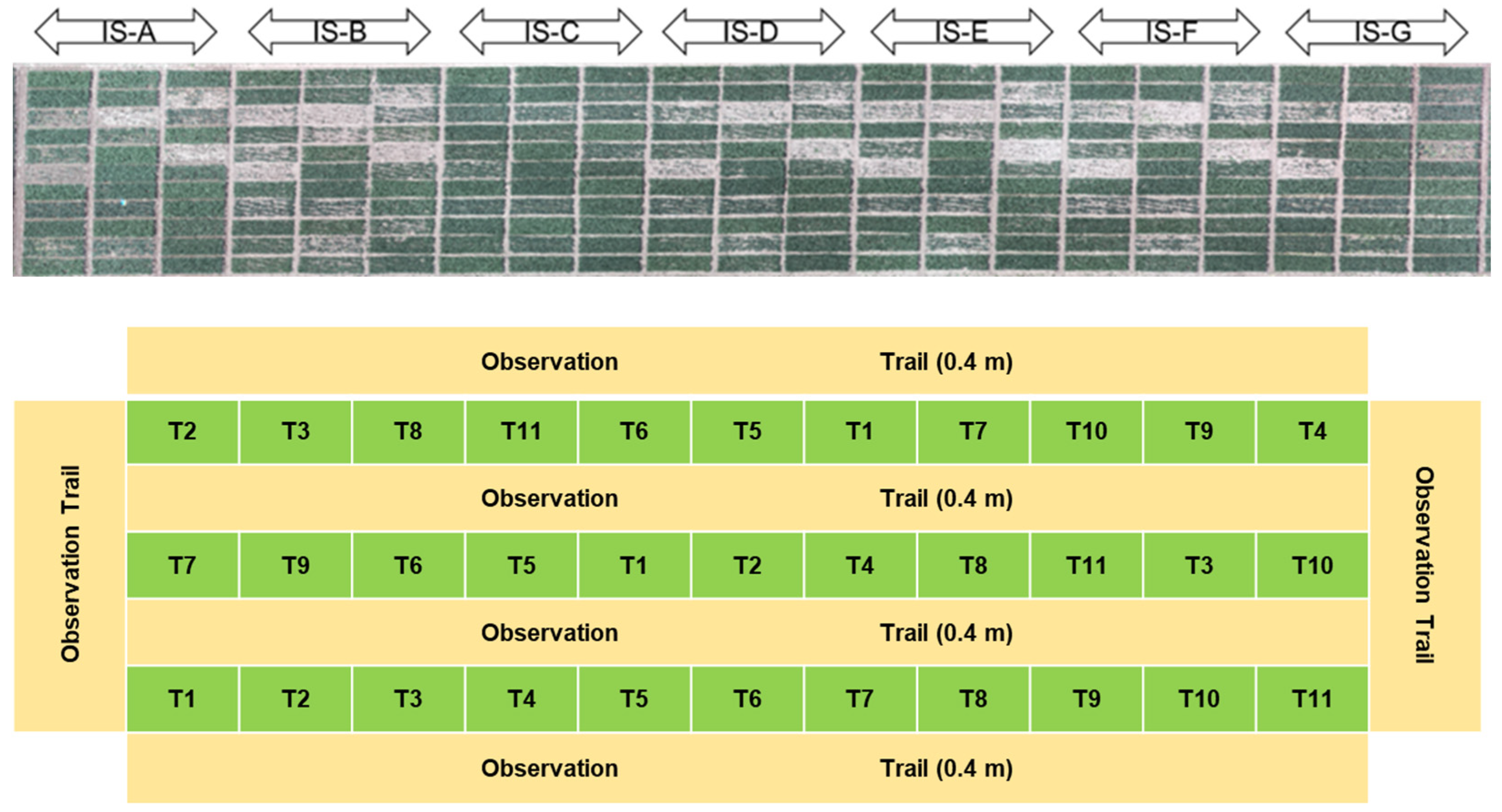 Remotesensing 16 00362 g001
