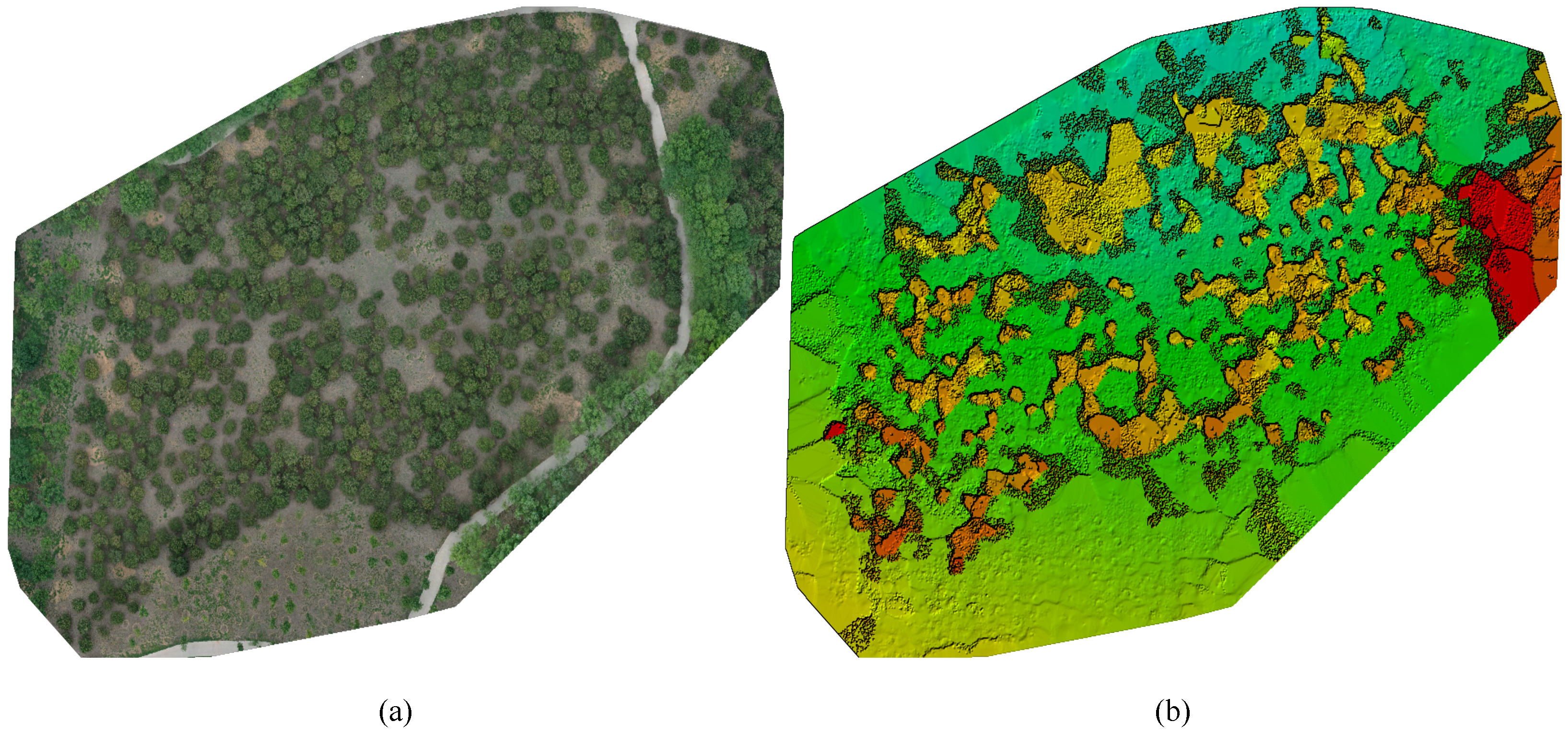 Remotesensing 16 00368 g003