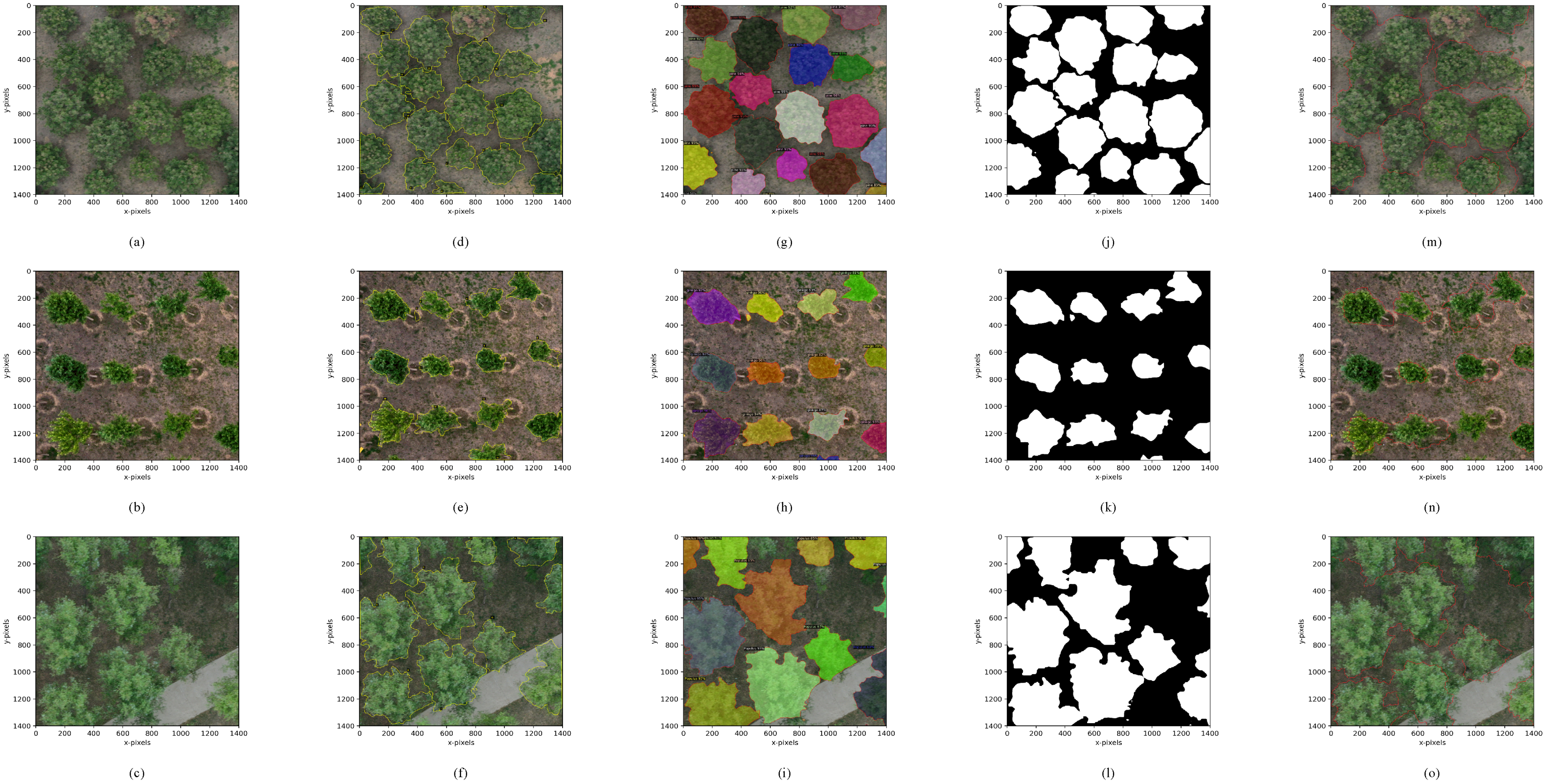 Remotesensing 16 00368 g008