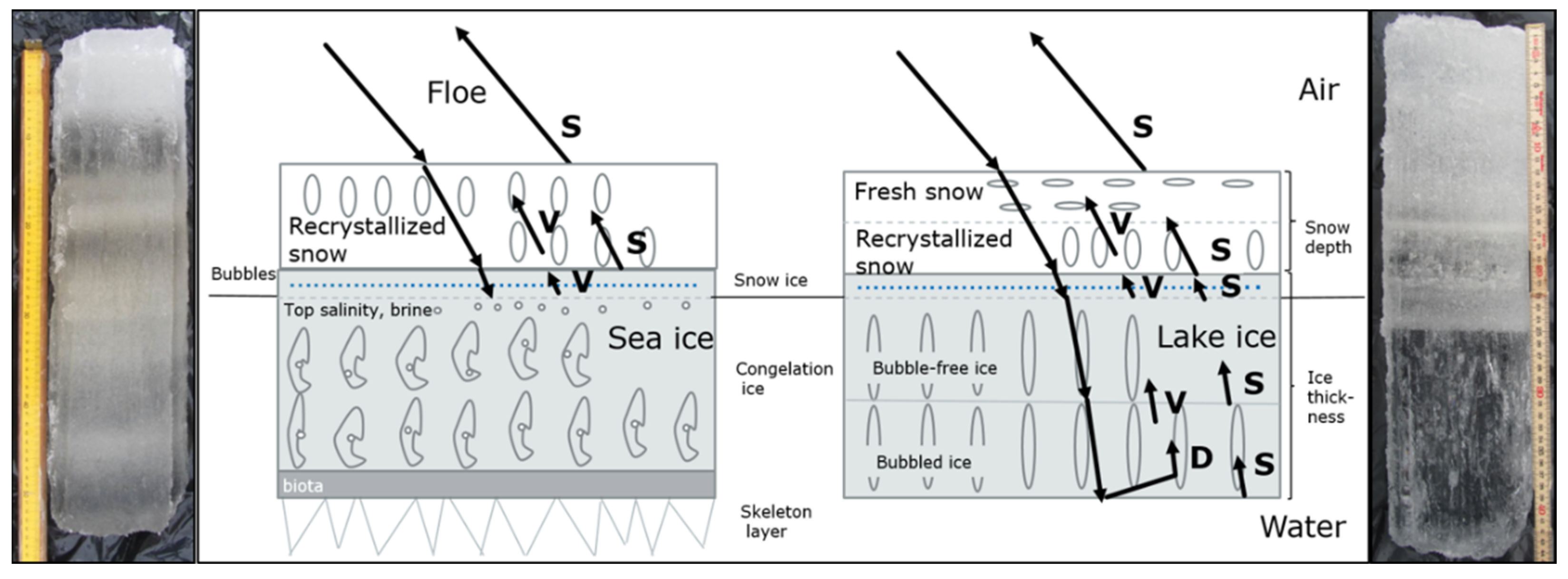 Remotesensing 16 00369 g009
