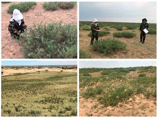 Remotesensing 16 00374 g0a3