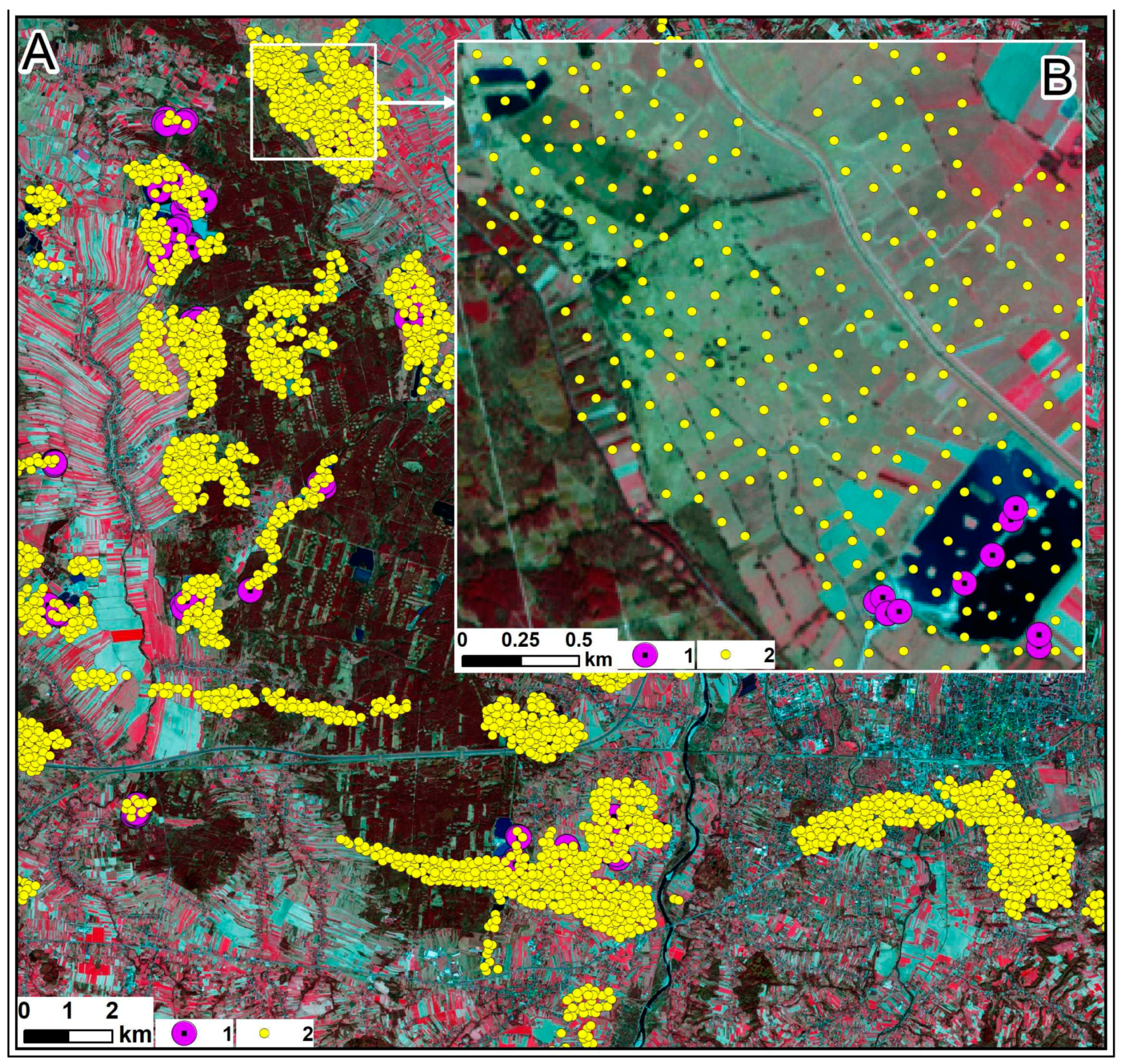 Remotesensing 16 00388 g013