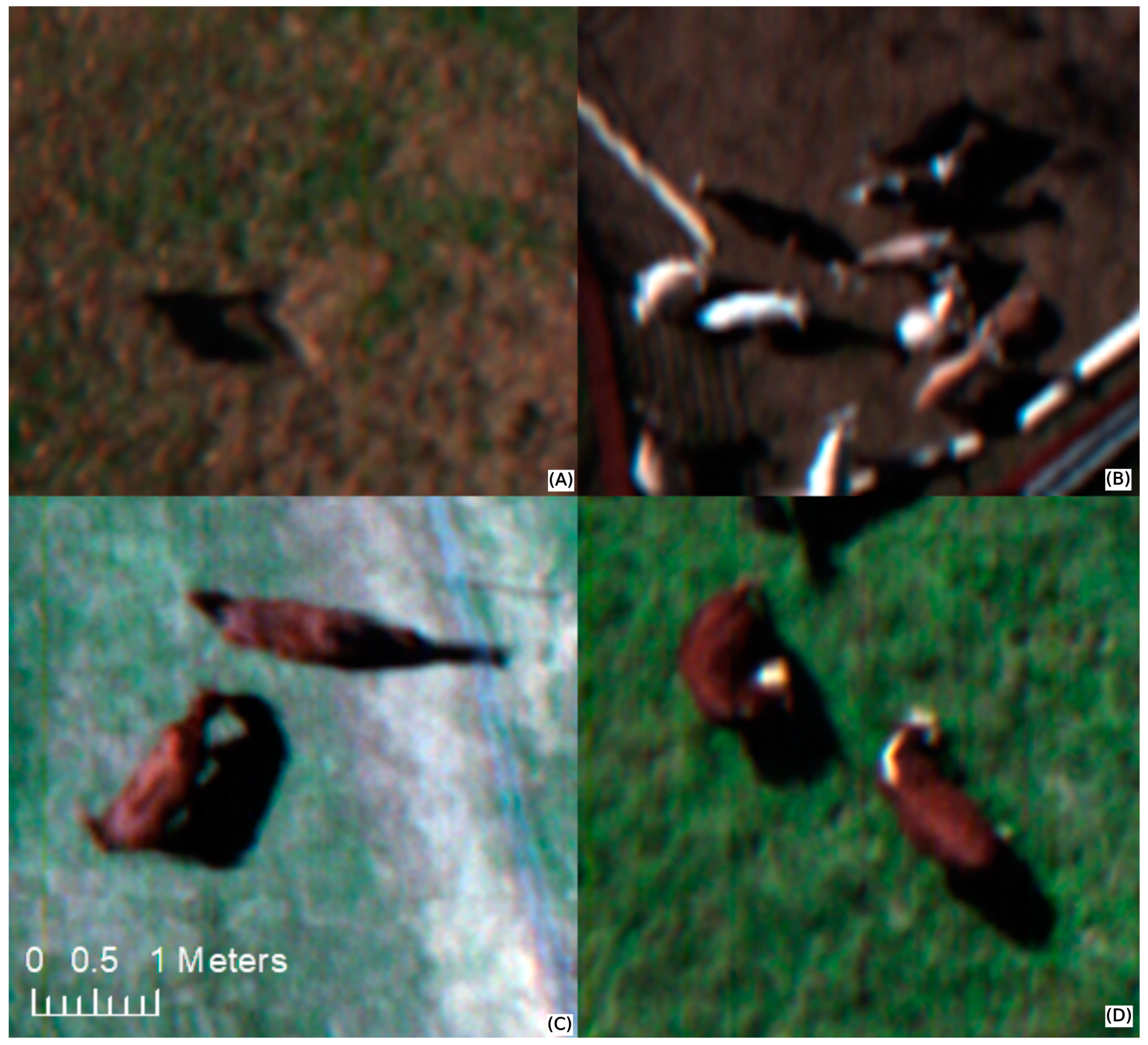 Remotesensing 16 00406 g003