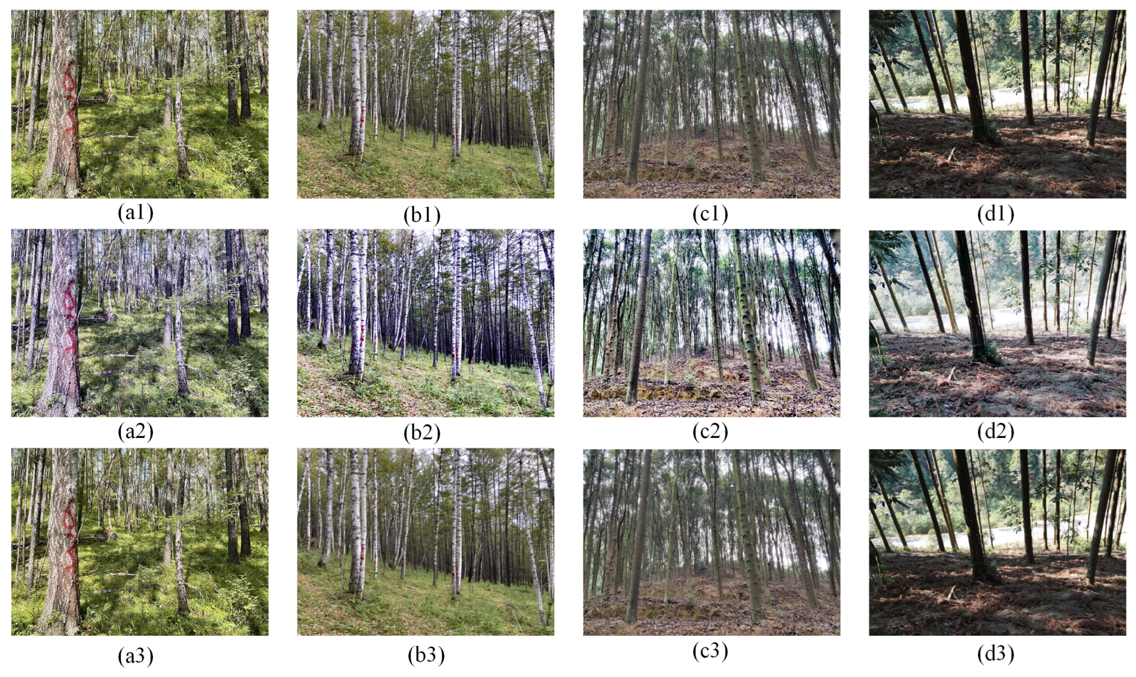 Remotesensing 16 00416 g005