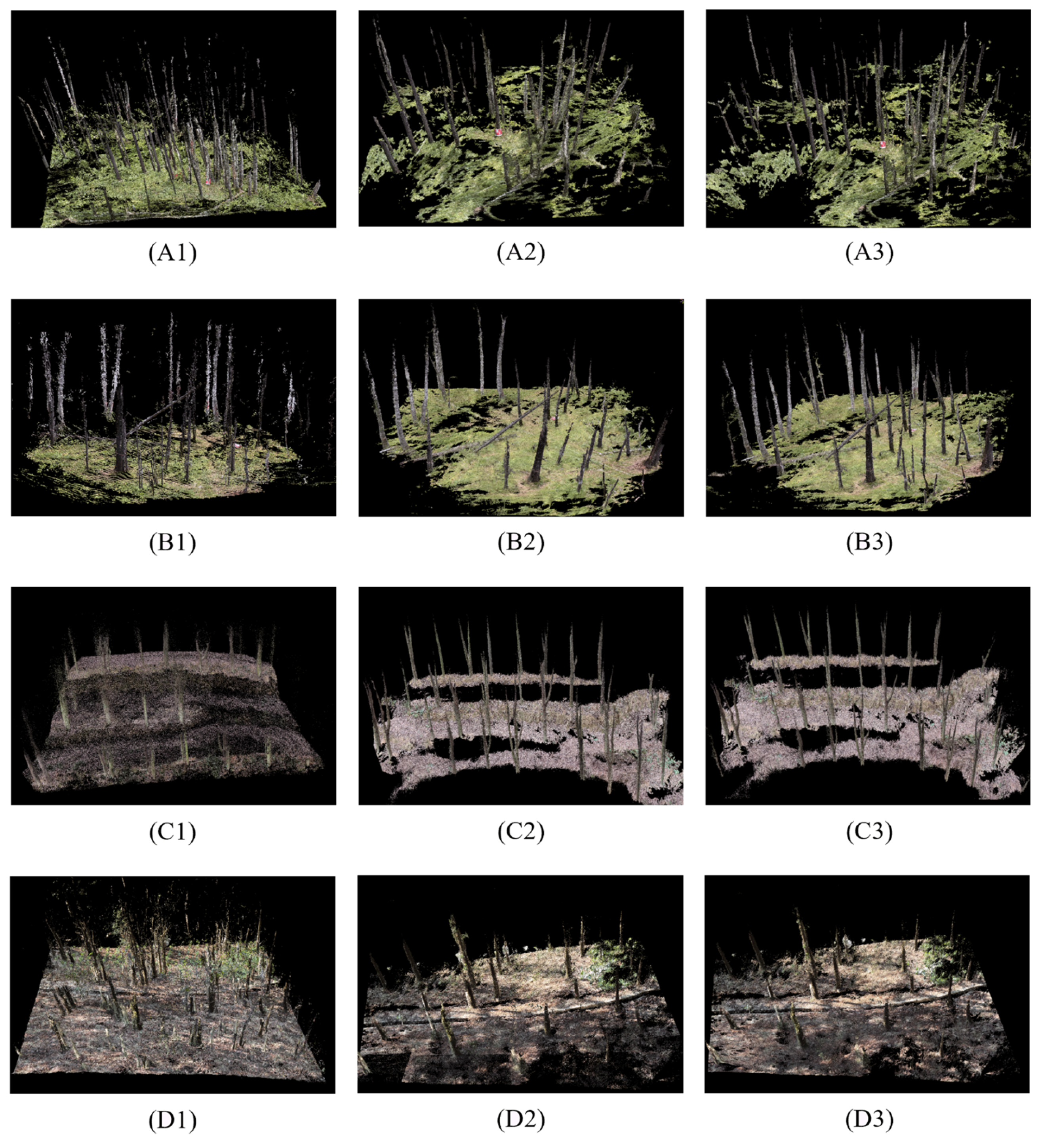 Remotesensing 16 00416 g007