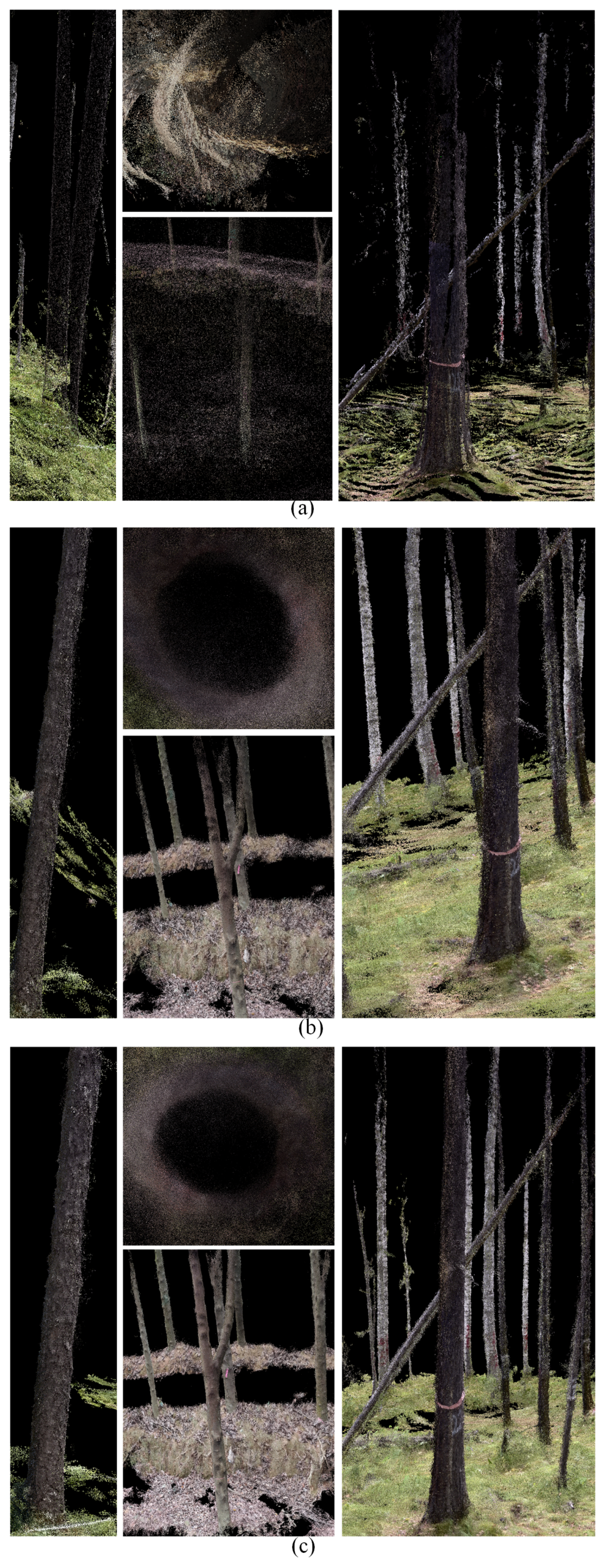 Remotesensing 16 00416 g008