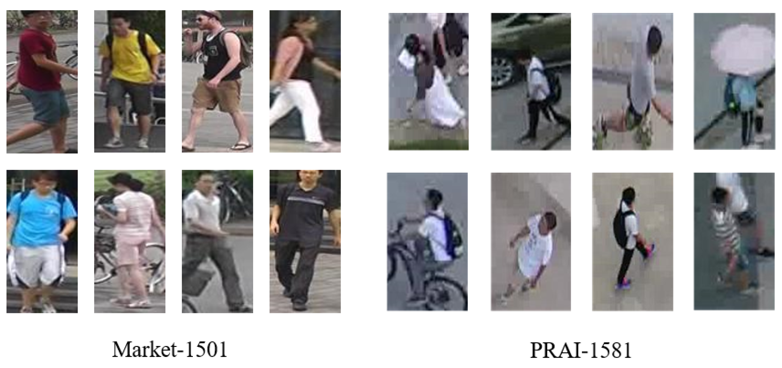 Remotesensing 16 00422 g009