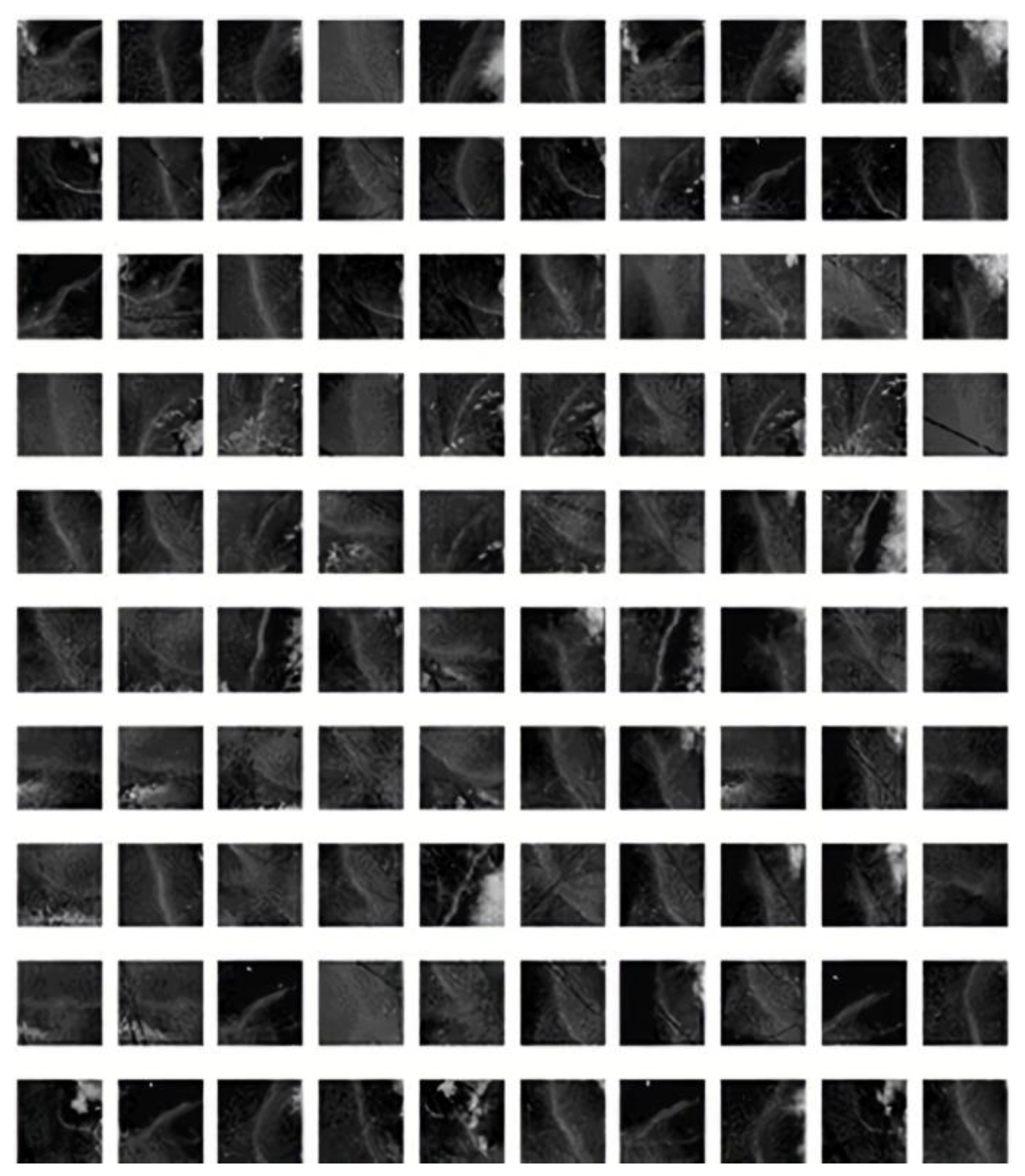 Remotesensing 16 00439 g001