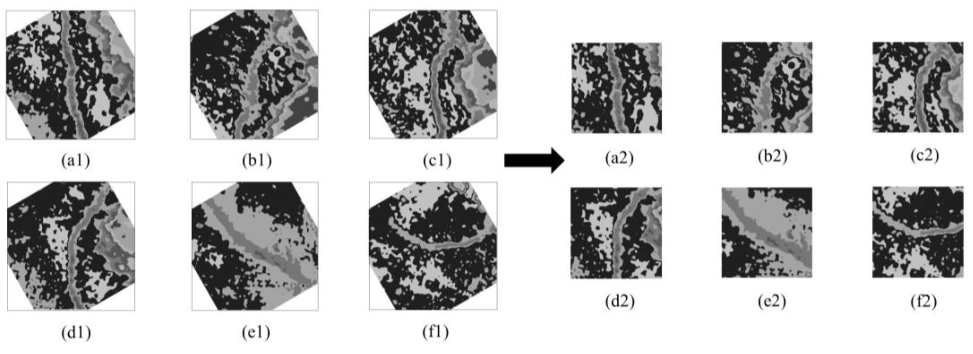 Remotesensing 16 00439 g003