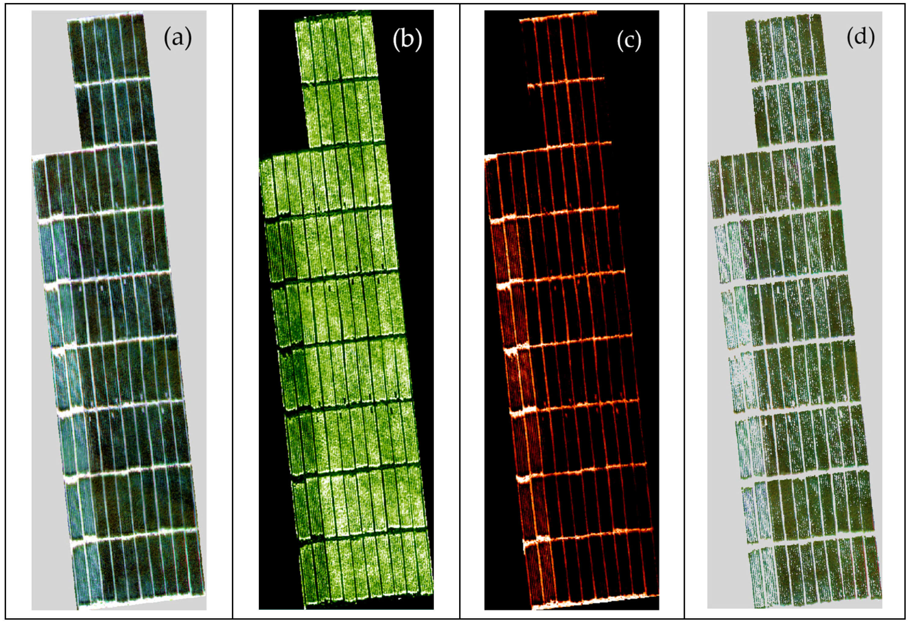Remotesensing 16 00469 g003