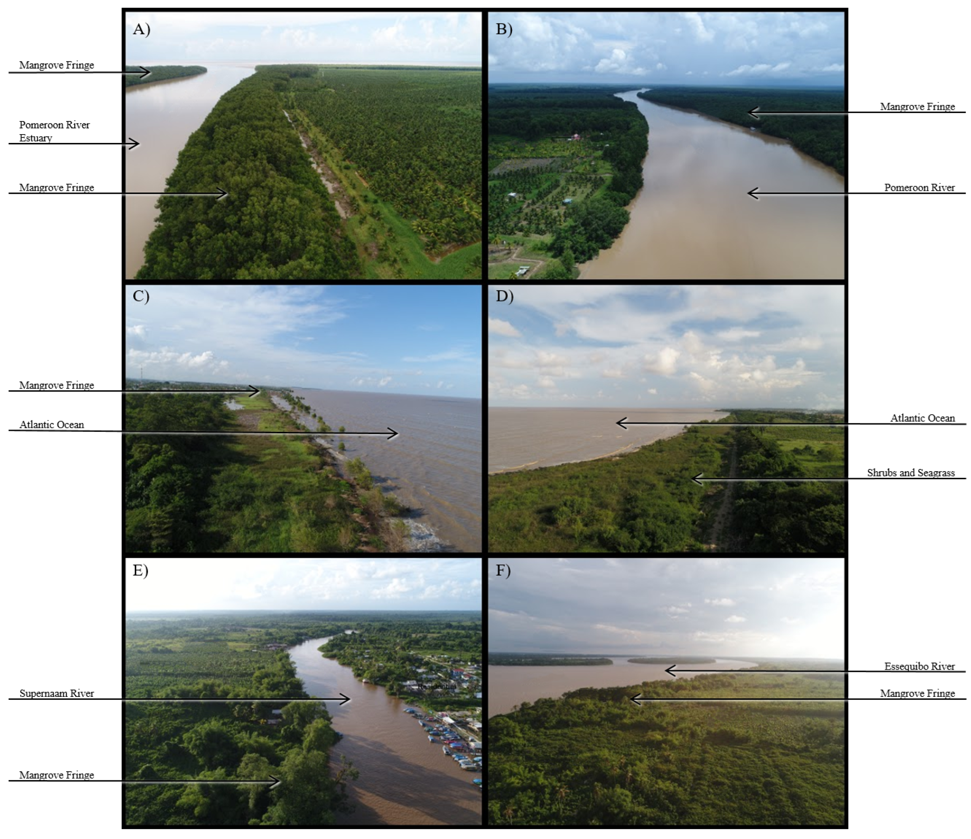 Remotesensing 16 00542 g007