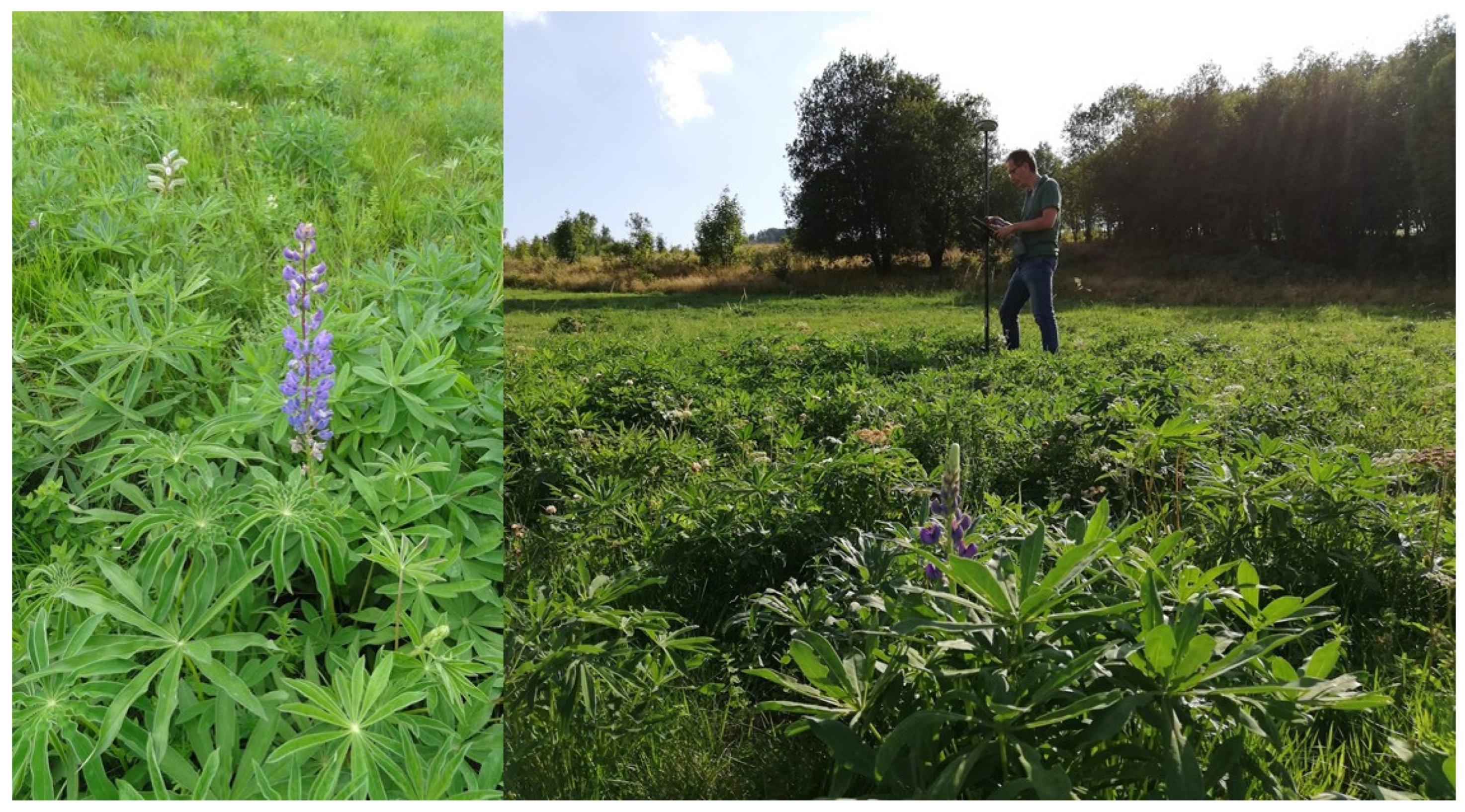 Remotesensing 16 00580 g001