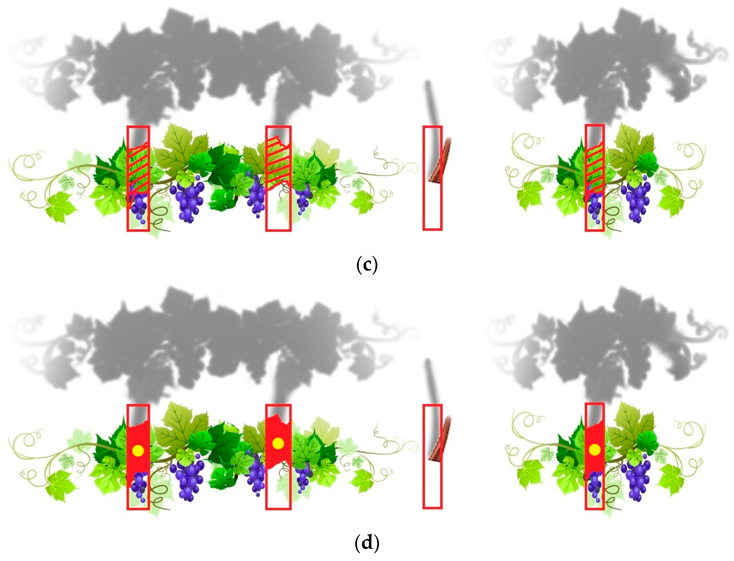 Remotesensing 16 00584 g007b