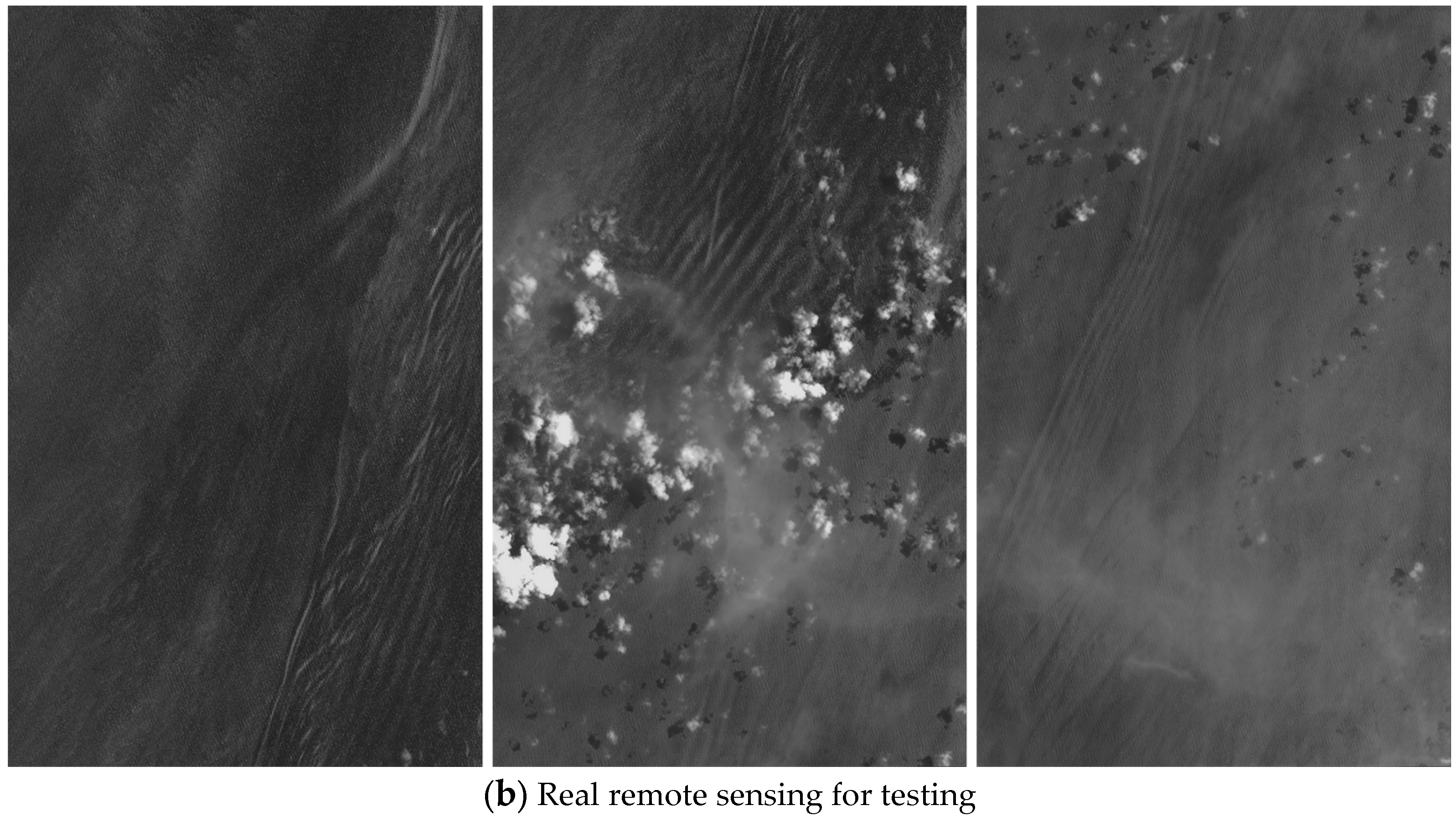 Remotesensing 16 00600 g007b