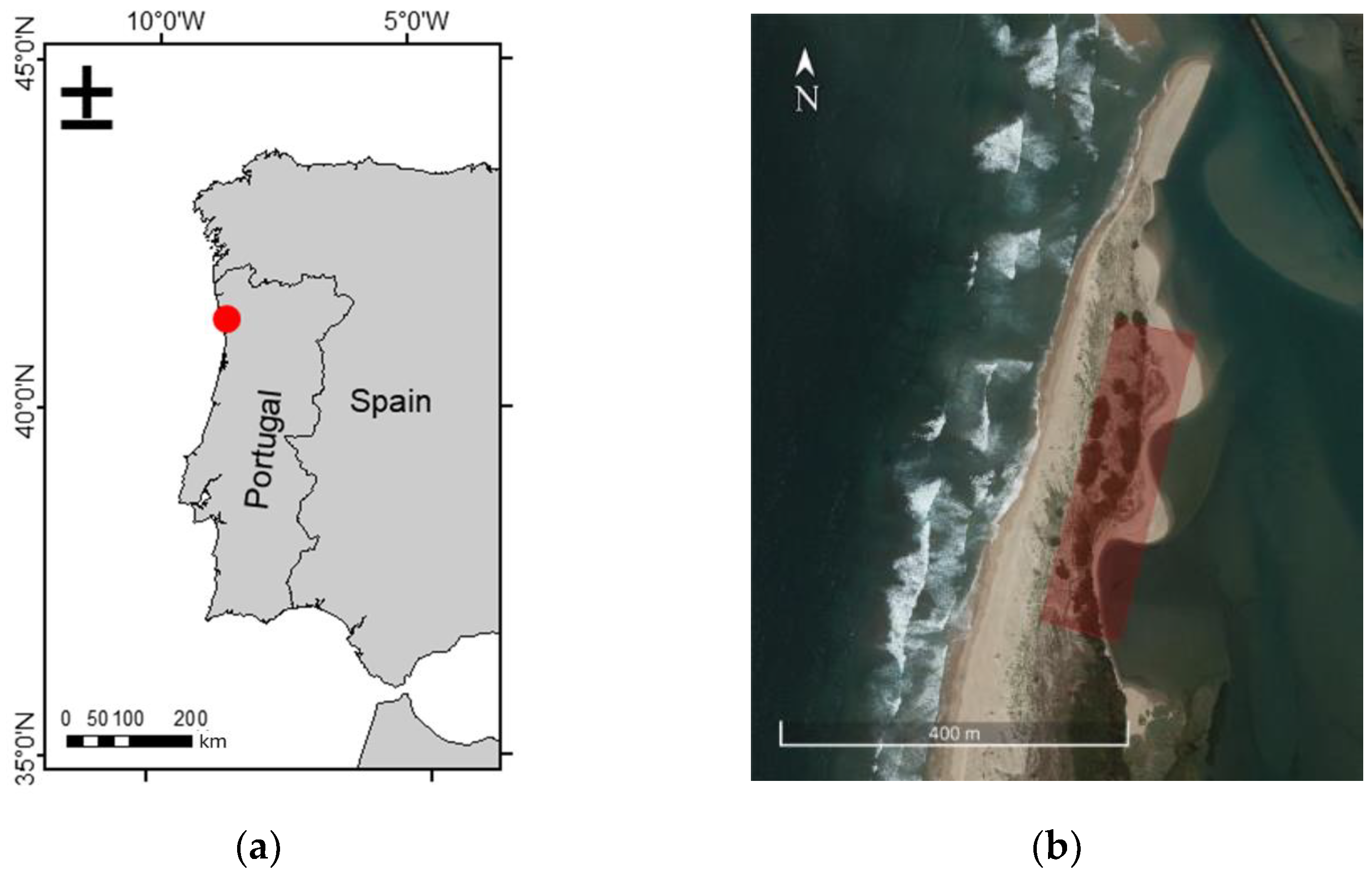Remotesensing 16 00652 g001