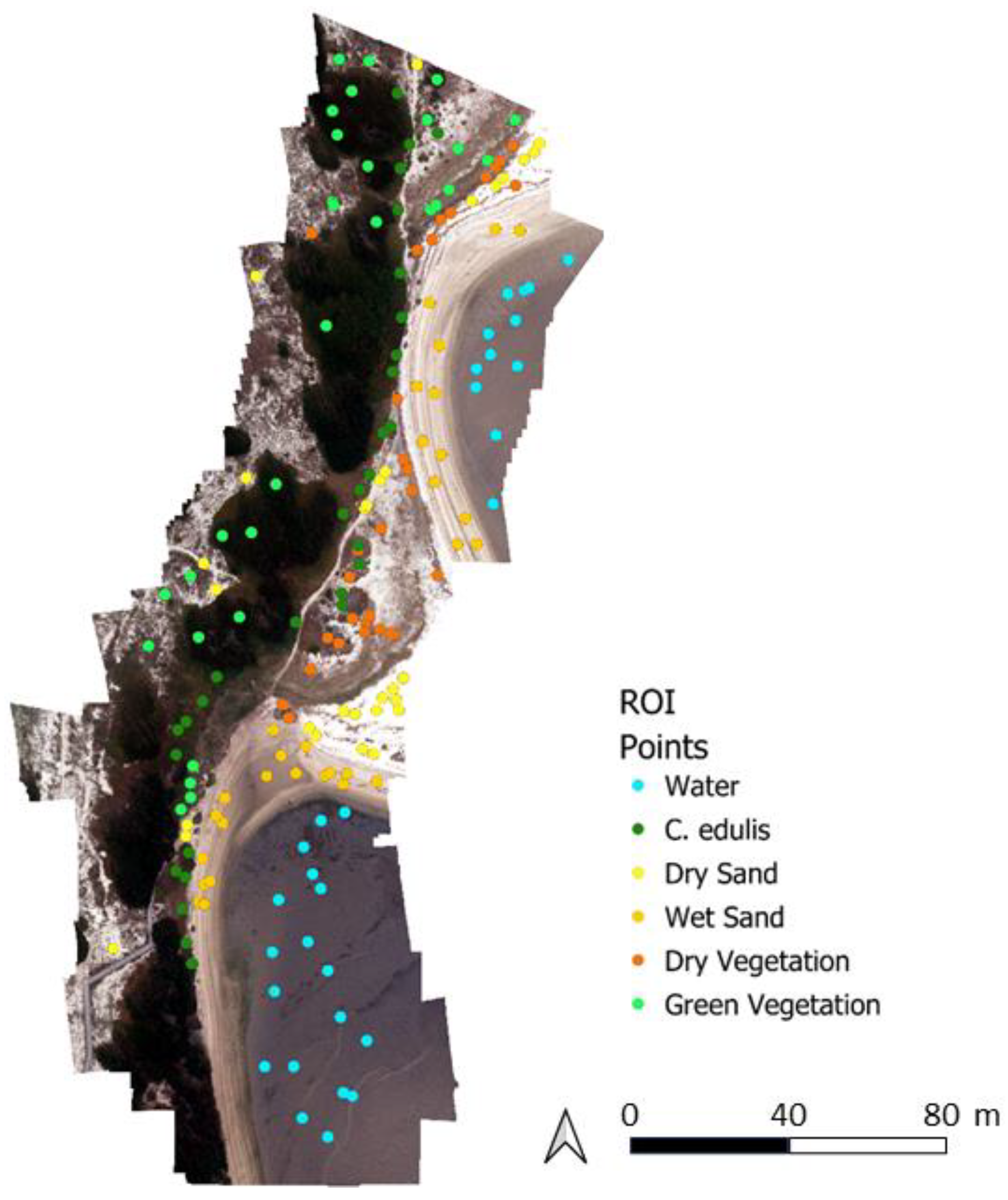 Remotesensing 16 00652 g003