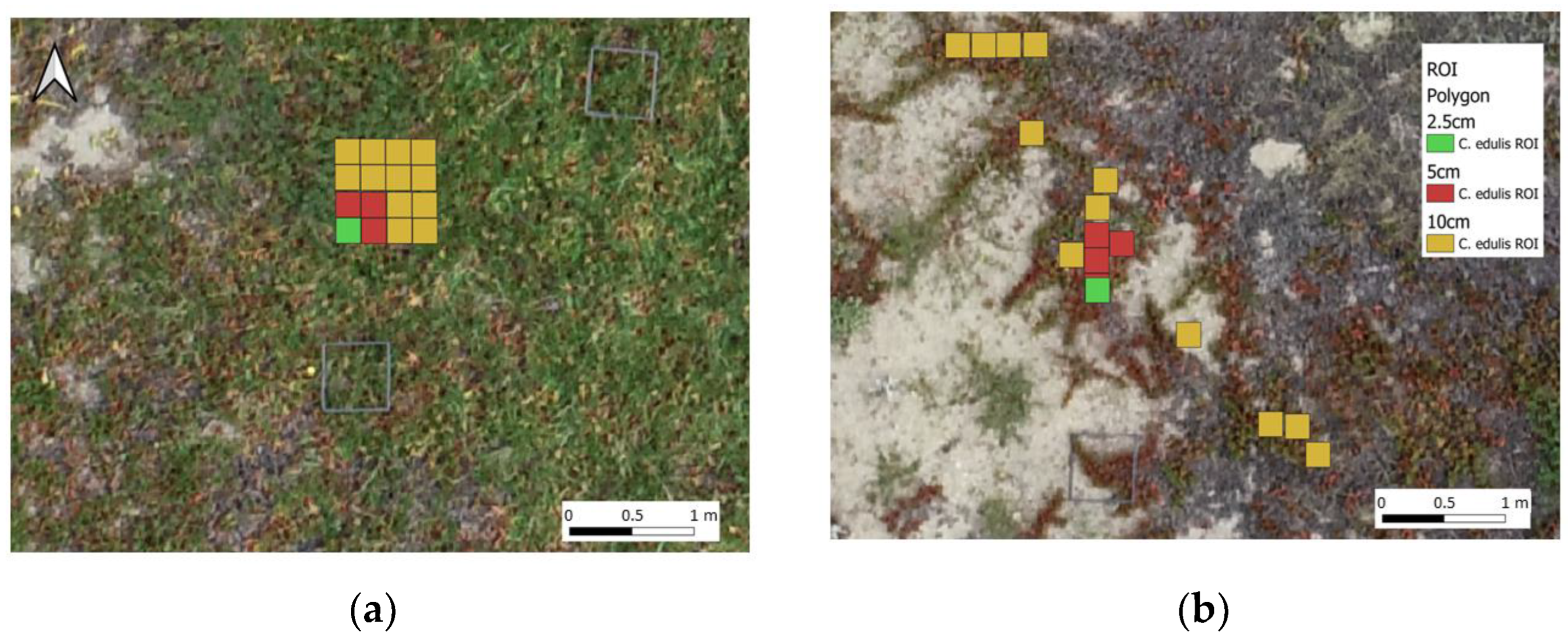 Remotesensing 16 00652 g004