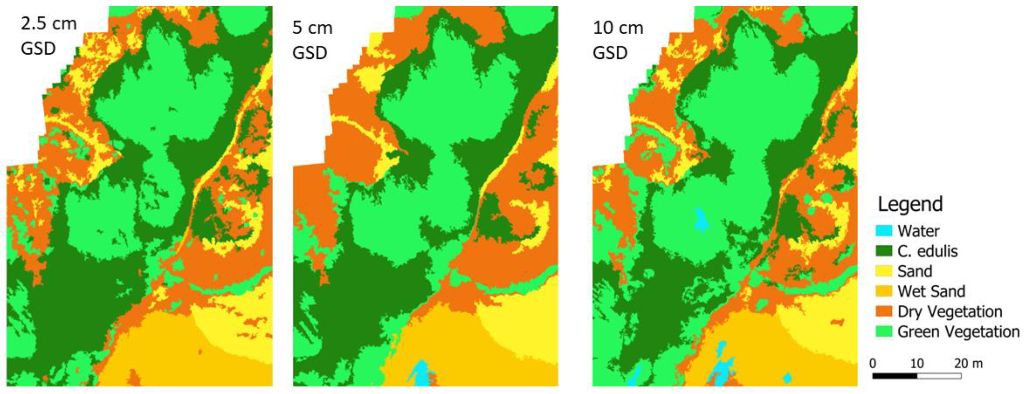 Remotesensing 16 00652 g005