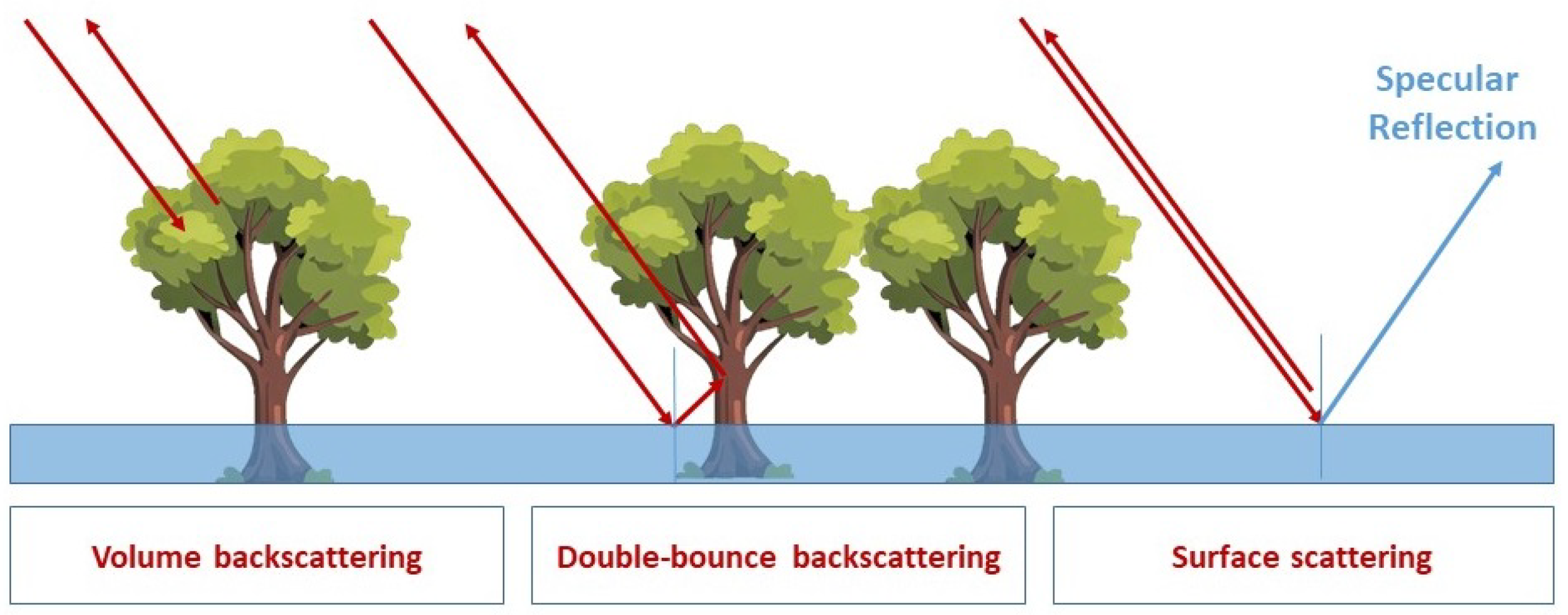 Remotesensing 16 00656 g002 Remotesensing 16 00656 g002