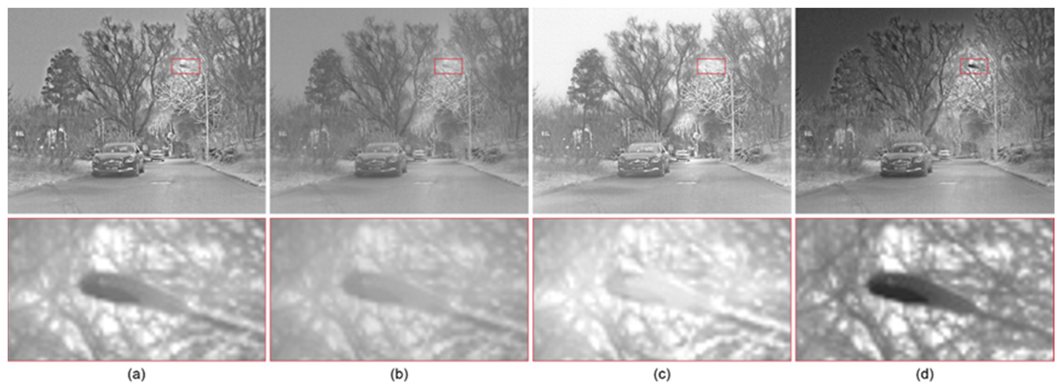 Remotesensing 16 00666 g008