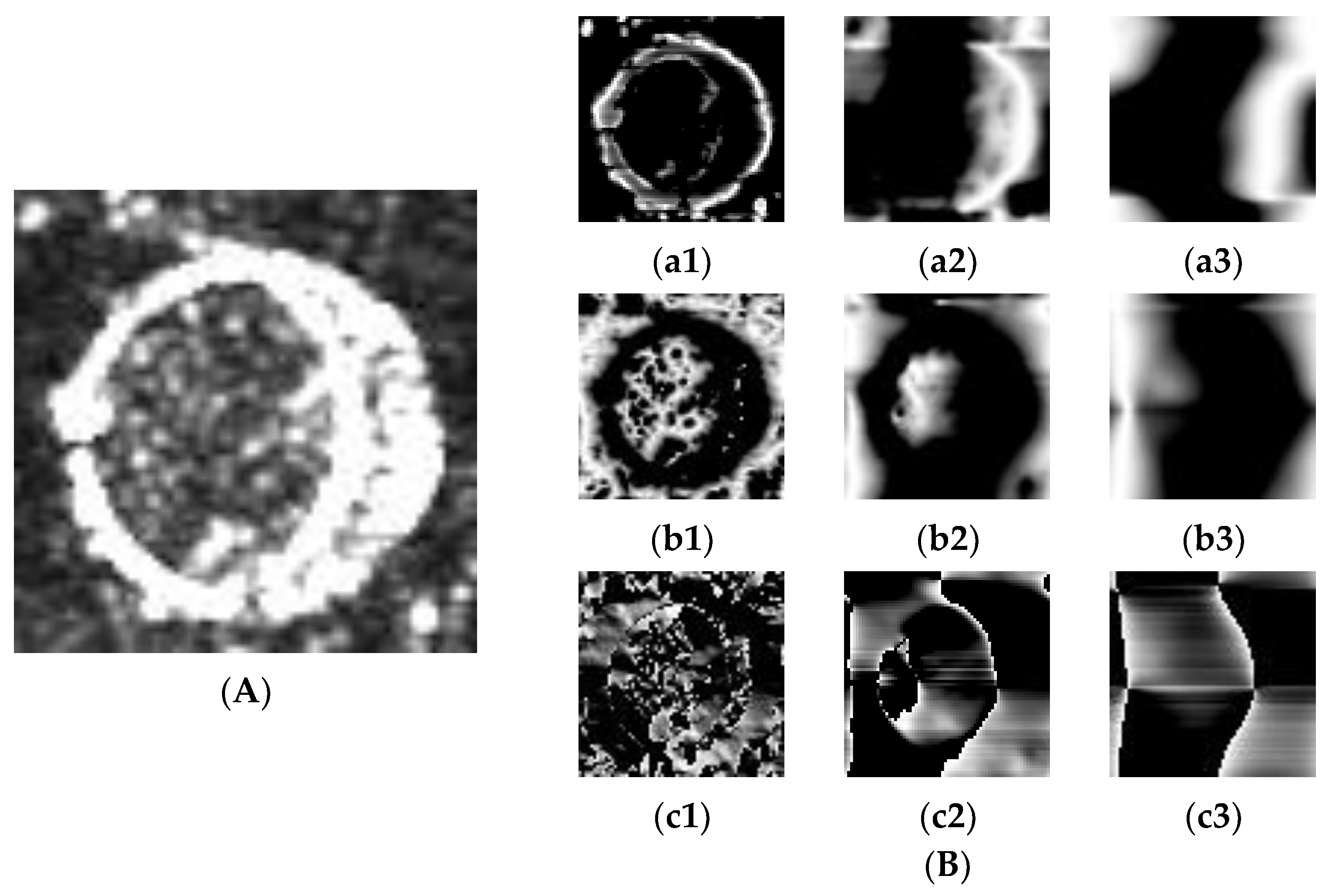 Remotesensing 16 00676 g002