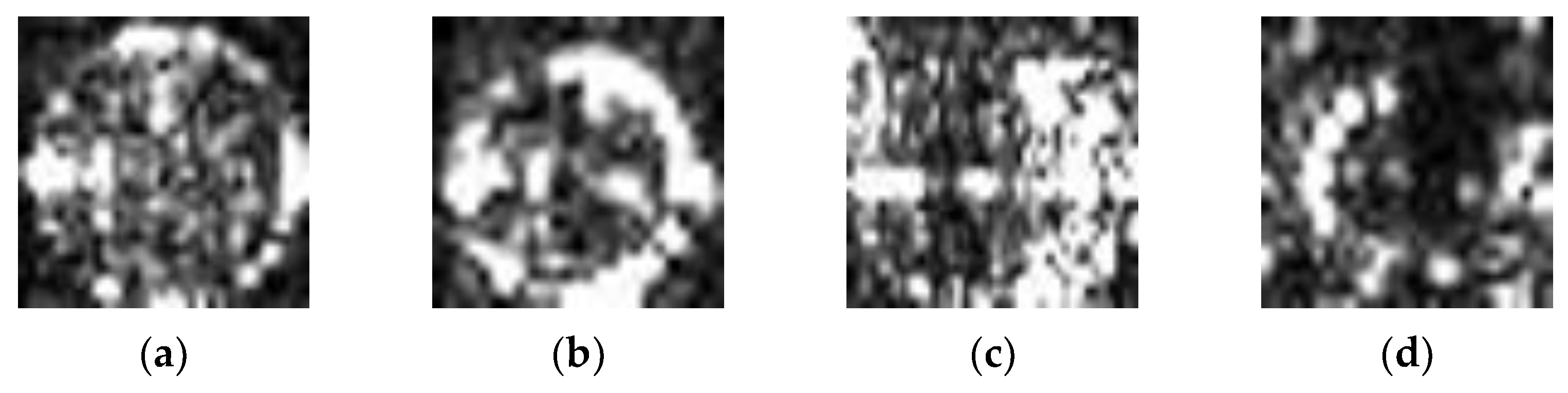 Remotesensing 16 00676 g004