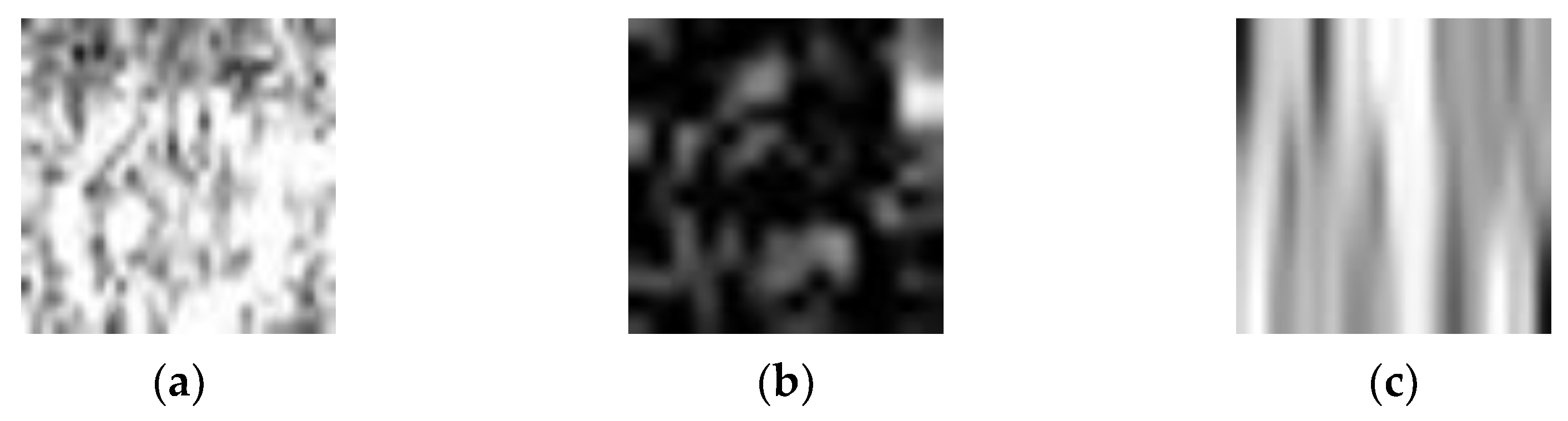 Remotesensing 16 00676 g005