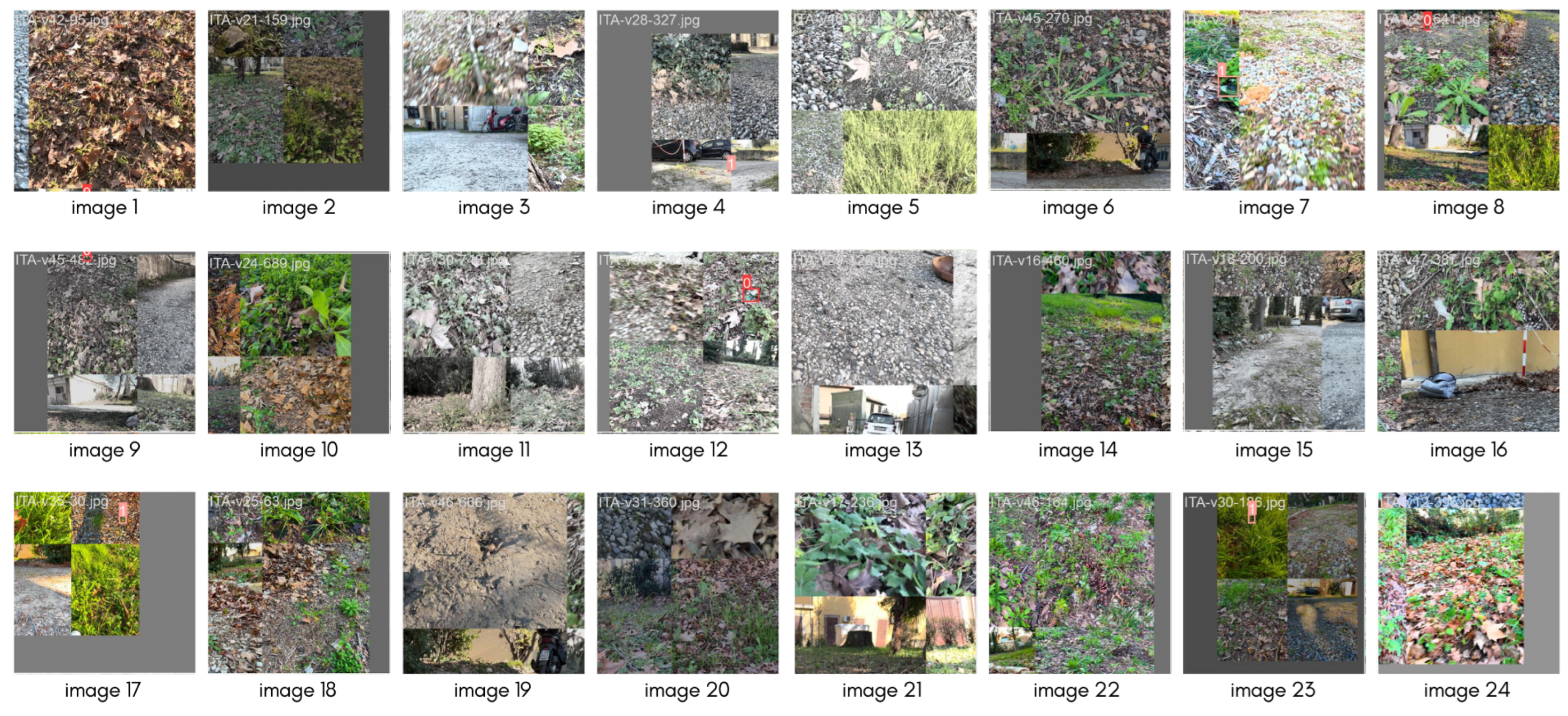 Remotesensing 16 00677 g006