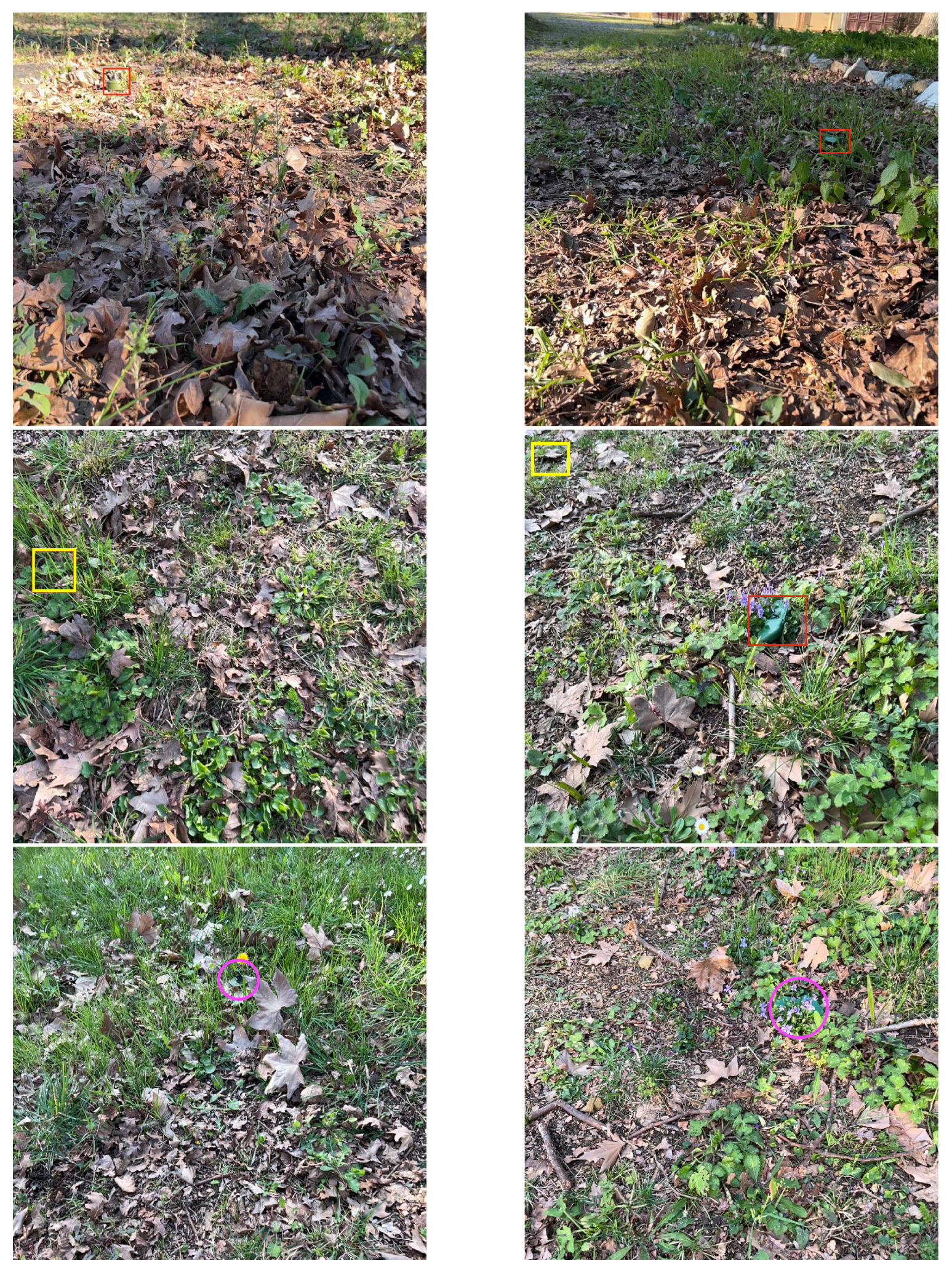 Remotesensing 16 00677 g007