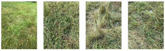 Remotesensing 16 00677 g0a2