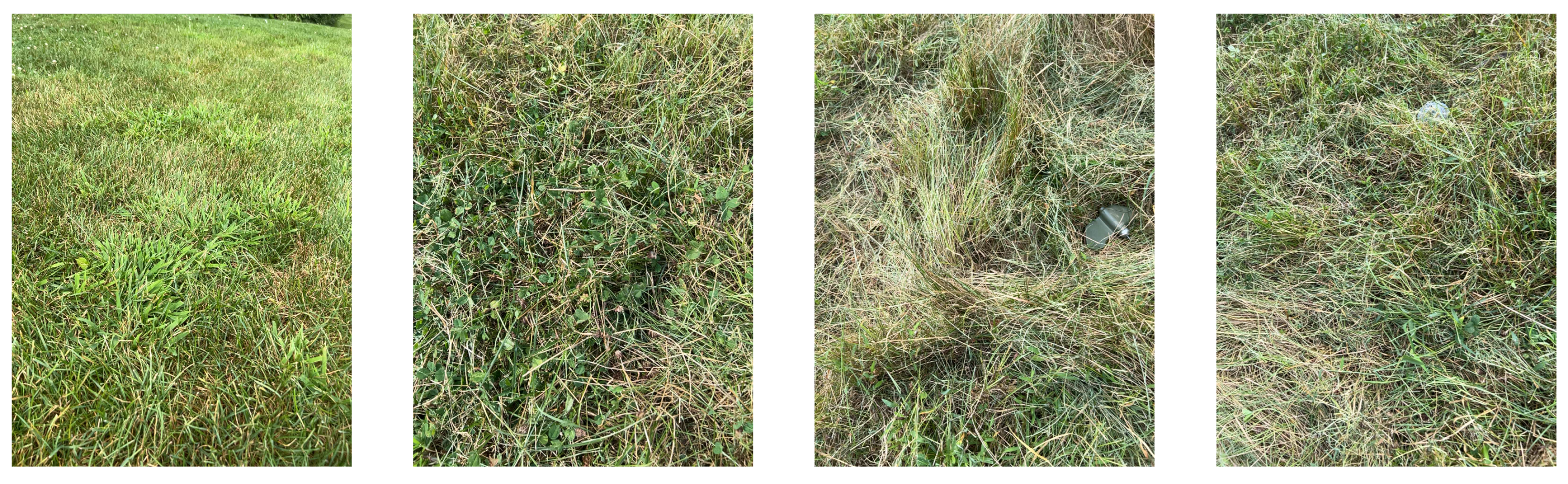 Remotesensing 16 00677 g0a2