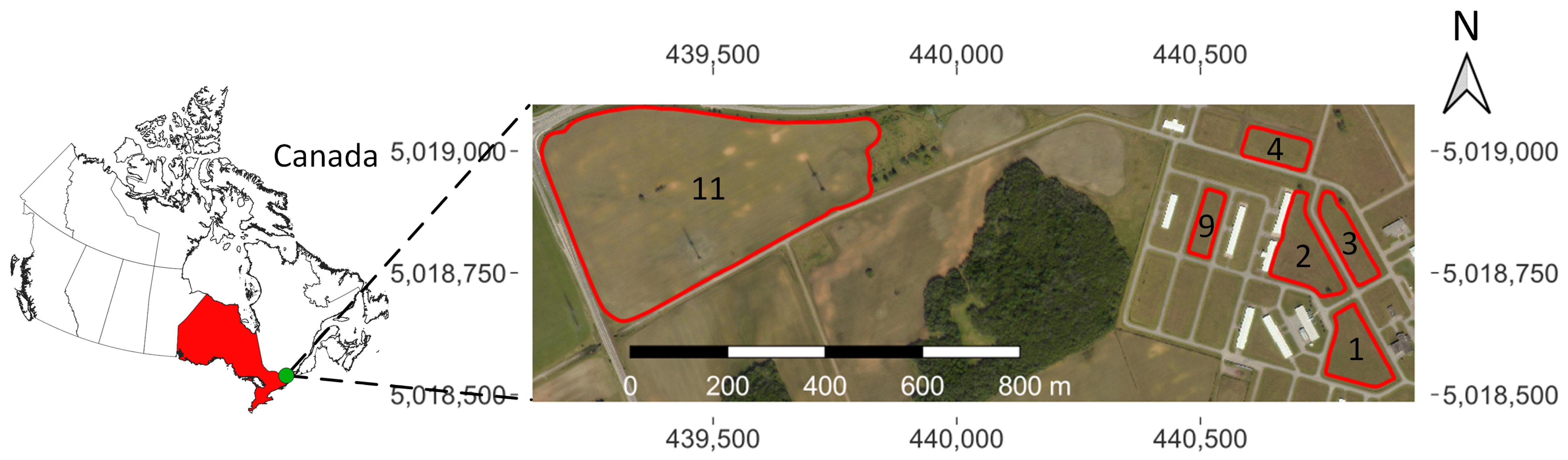 Remotesensing 16 00683 g001