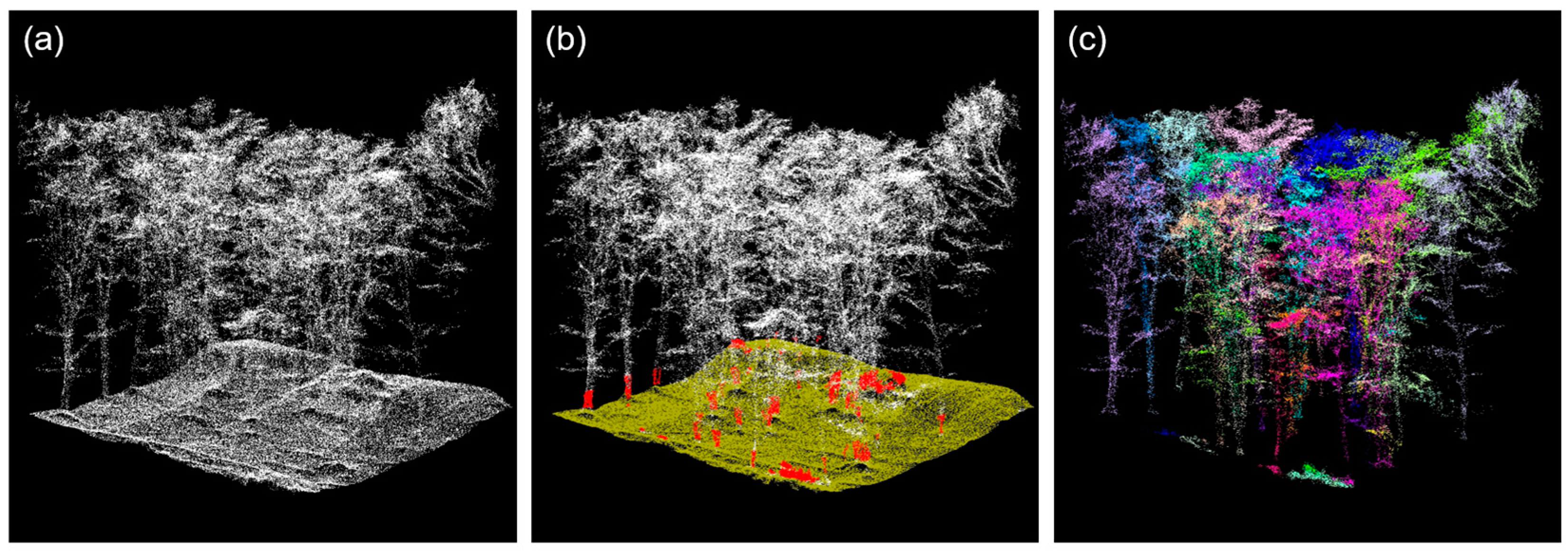 Remotesensing 16 00697 g003
