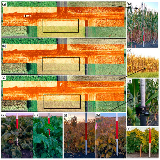 Remotesensing 16 00699 g013