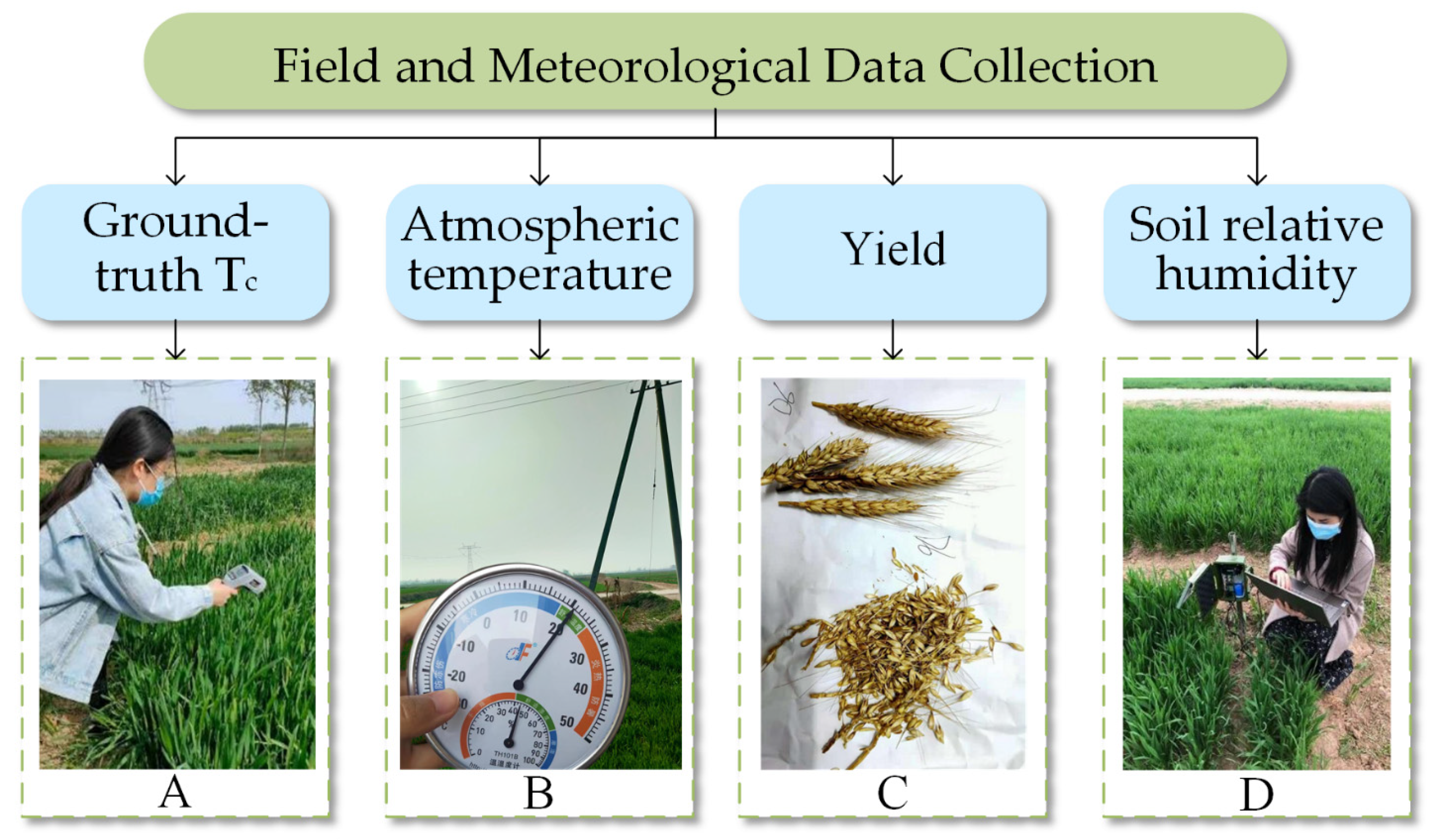Remotesensing 16 00710 g005