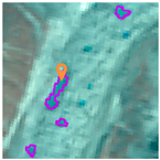 Remotesensing 16 00725 i001