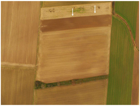 Remotesensing 16 00736 g004