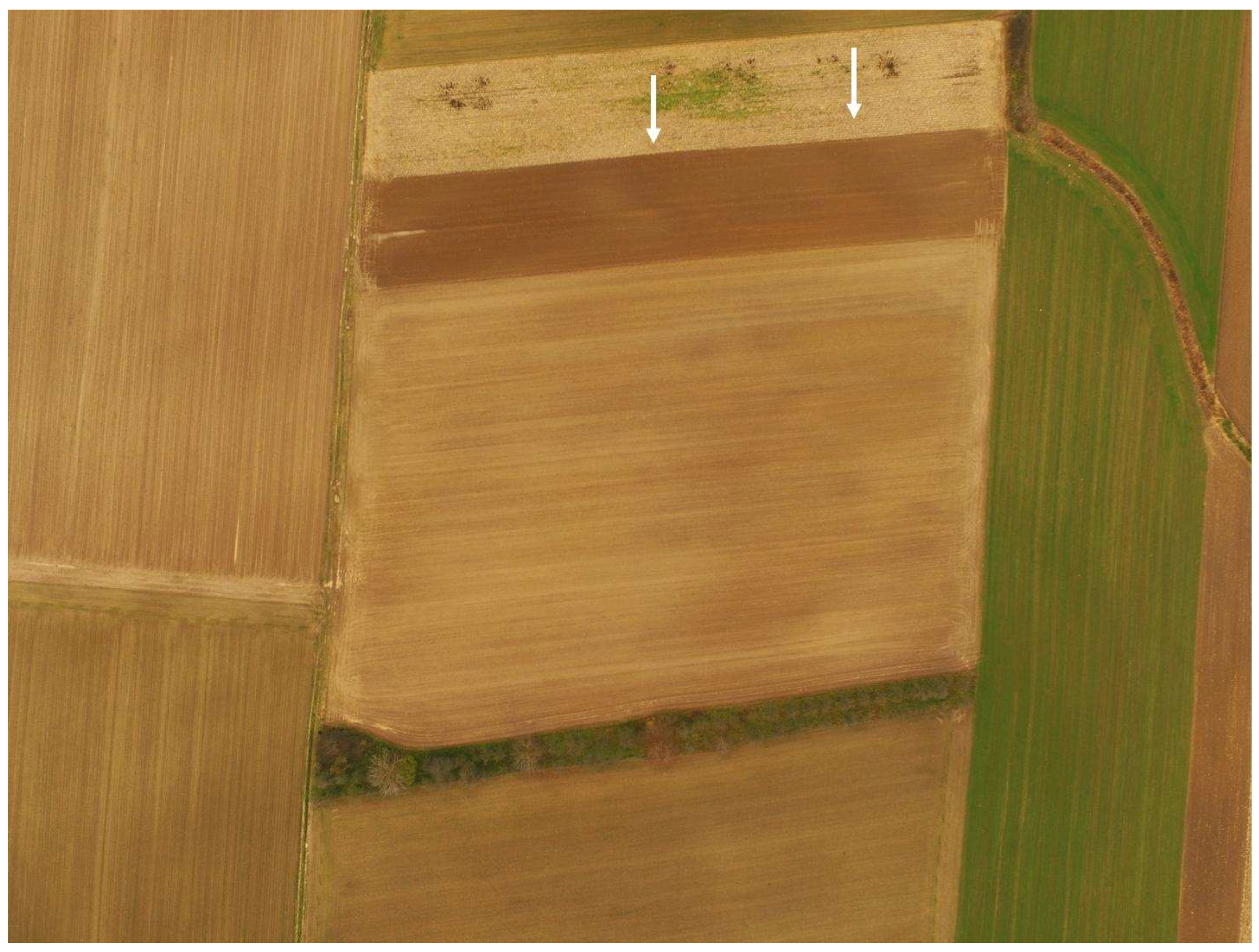 Remotesensing 16 00736 g004