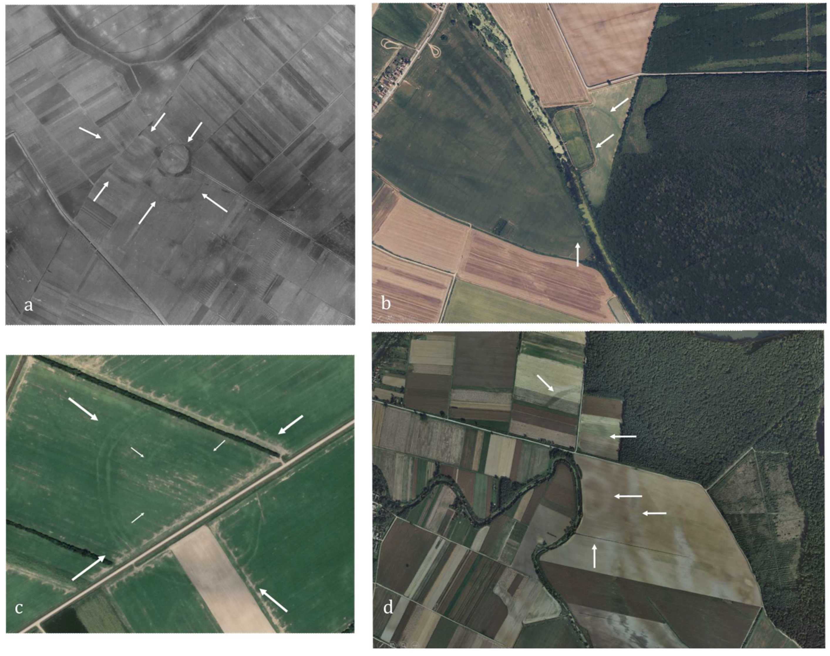 Remotesensing 16 00736 g005