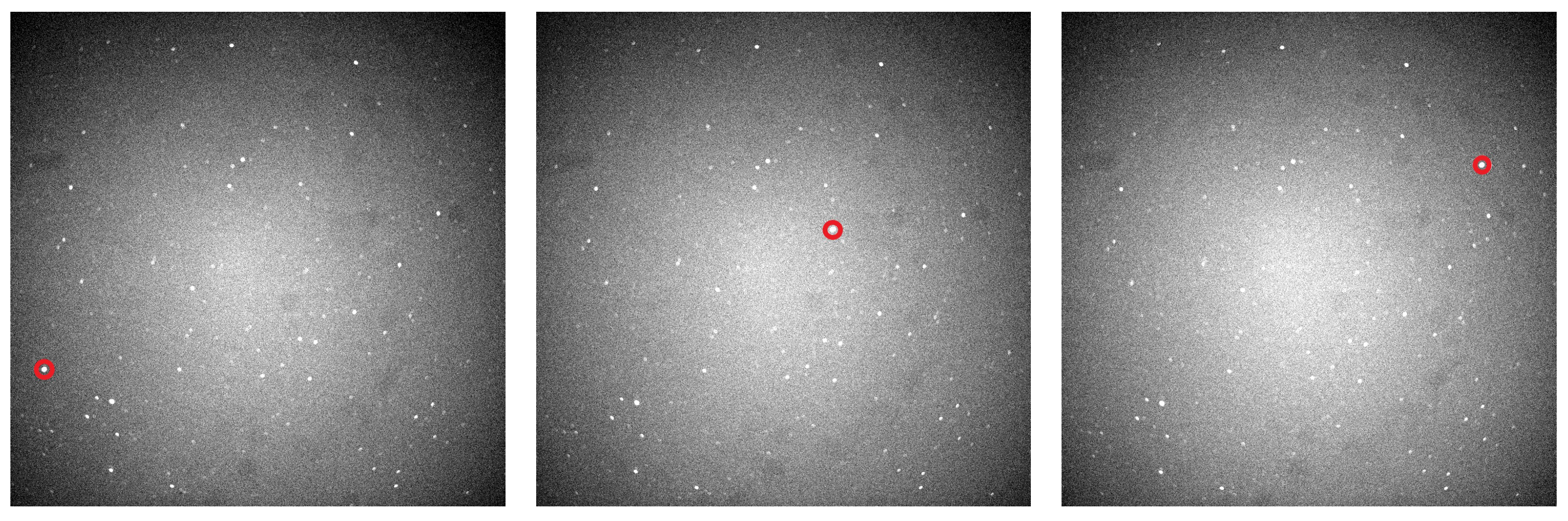 Remotesensing 16 00749 g004