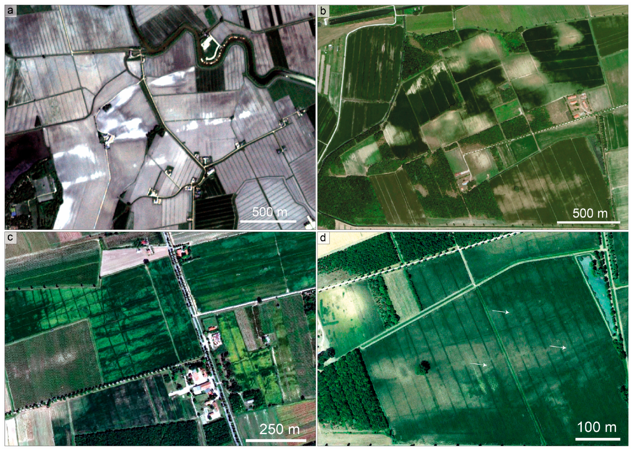 Remotesensing 16 00765 g004