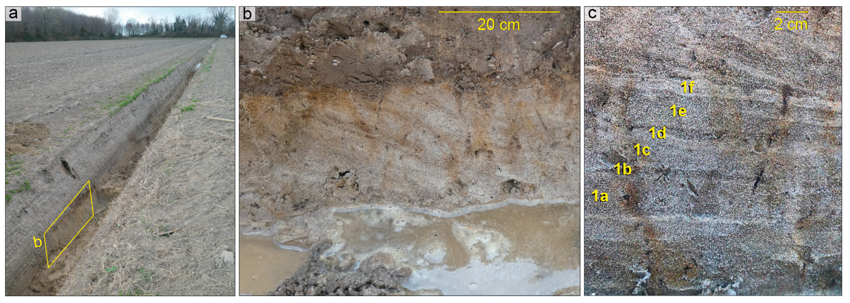 Remotesensing 16 00765 g009