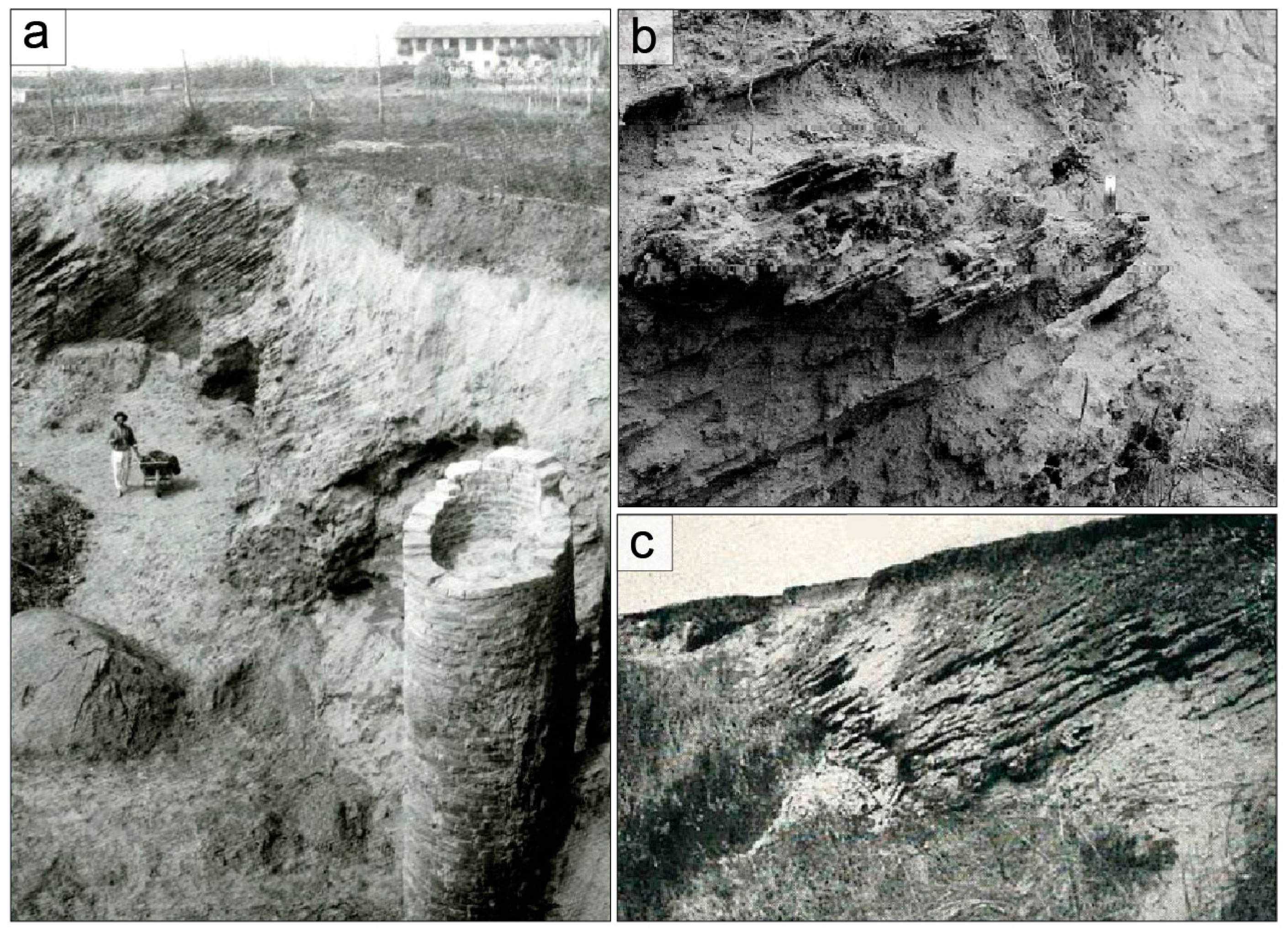 Remotesensing 16 00765 g012