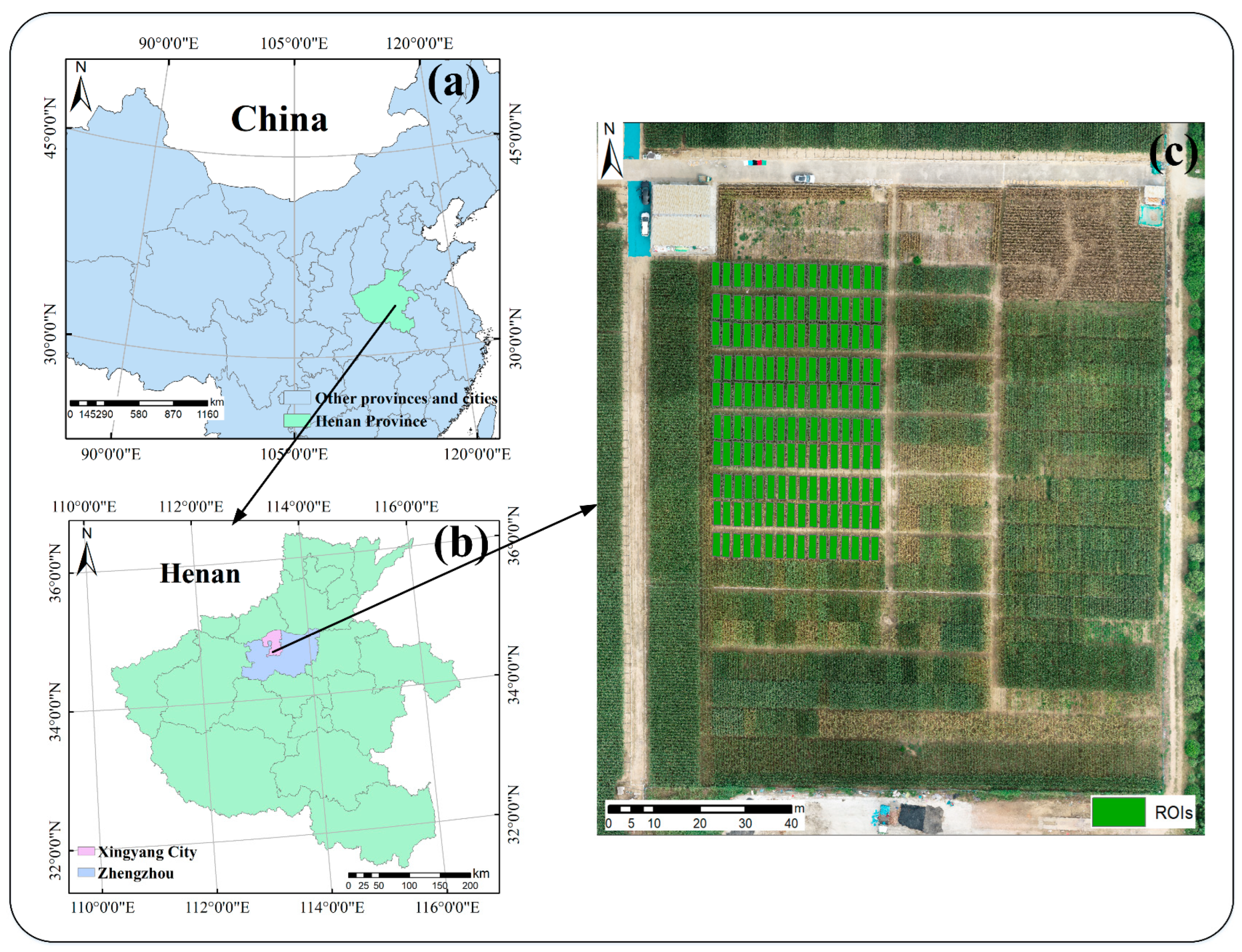 Remotesensing 16 00784 g001