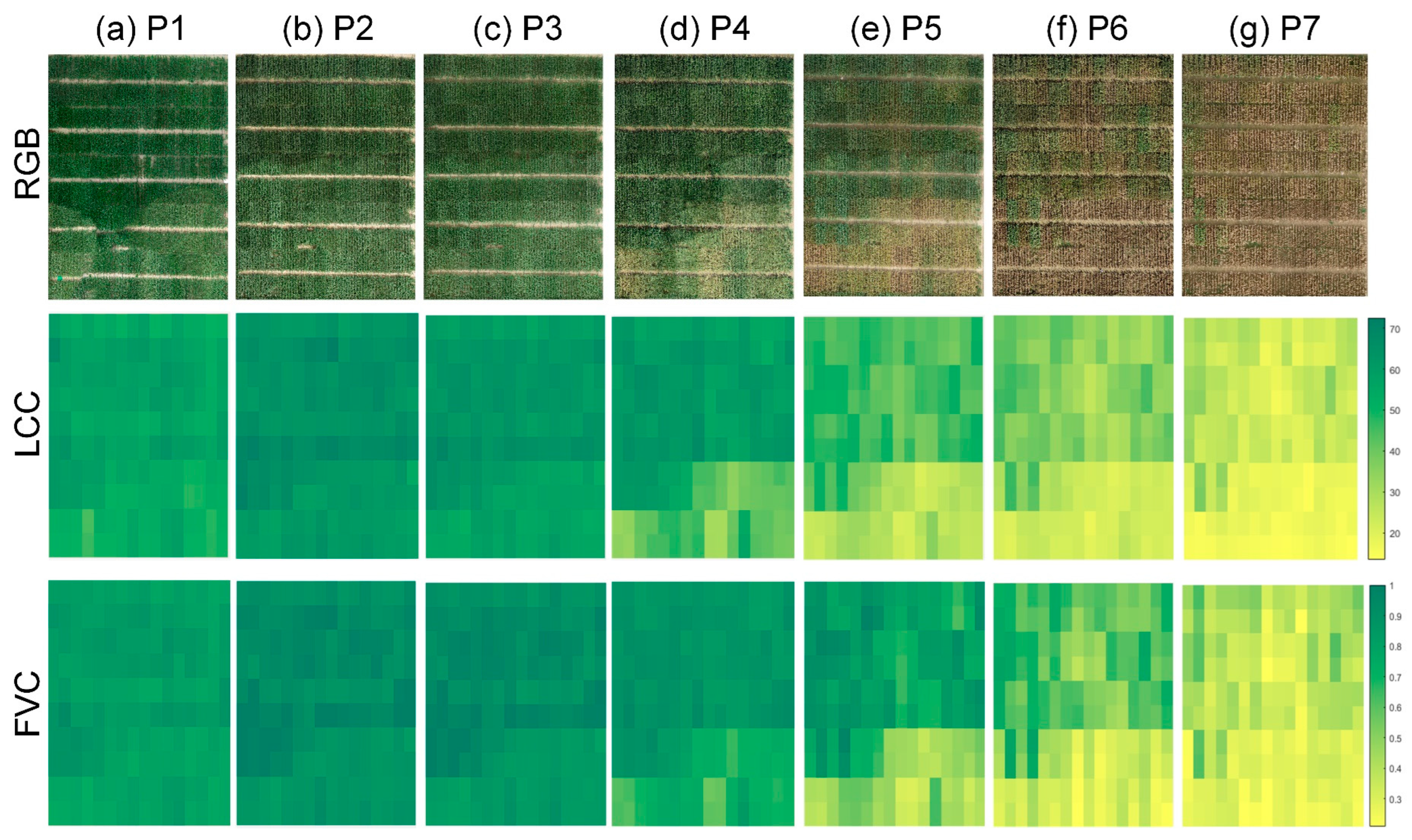 Remotesensing 16 00784 g011