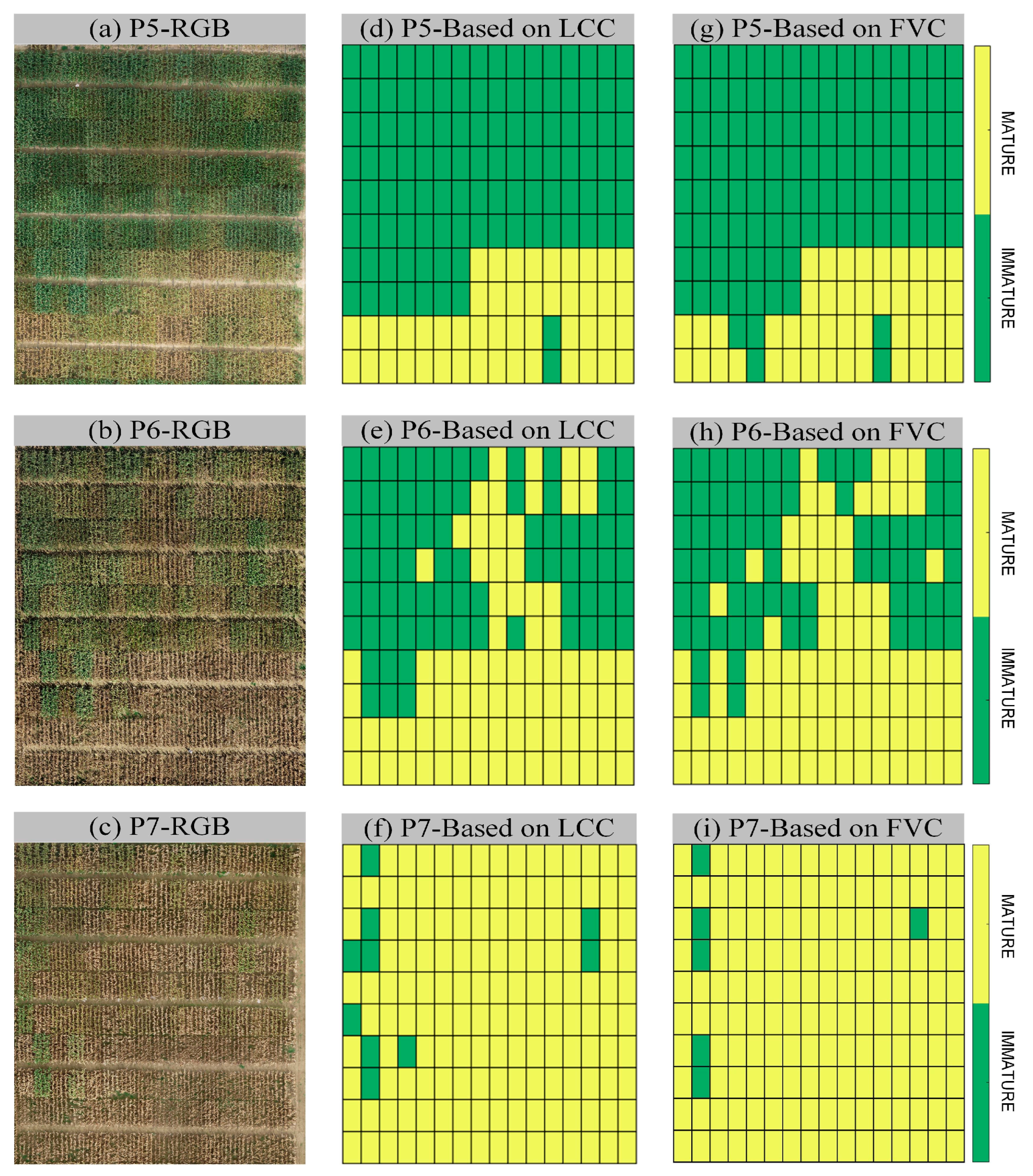 Remotesensing 16 00784 g013