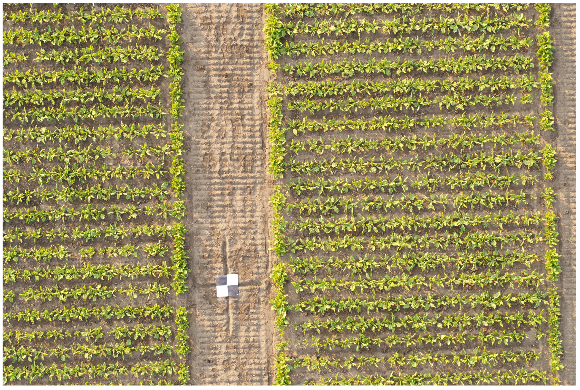 Remotesensing 16 00794 g003