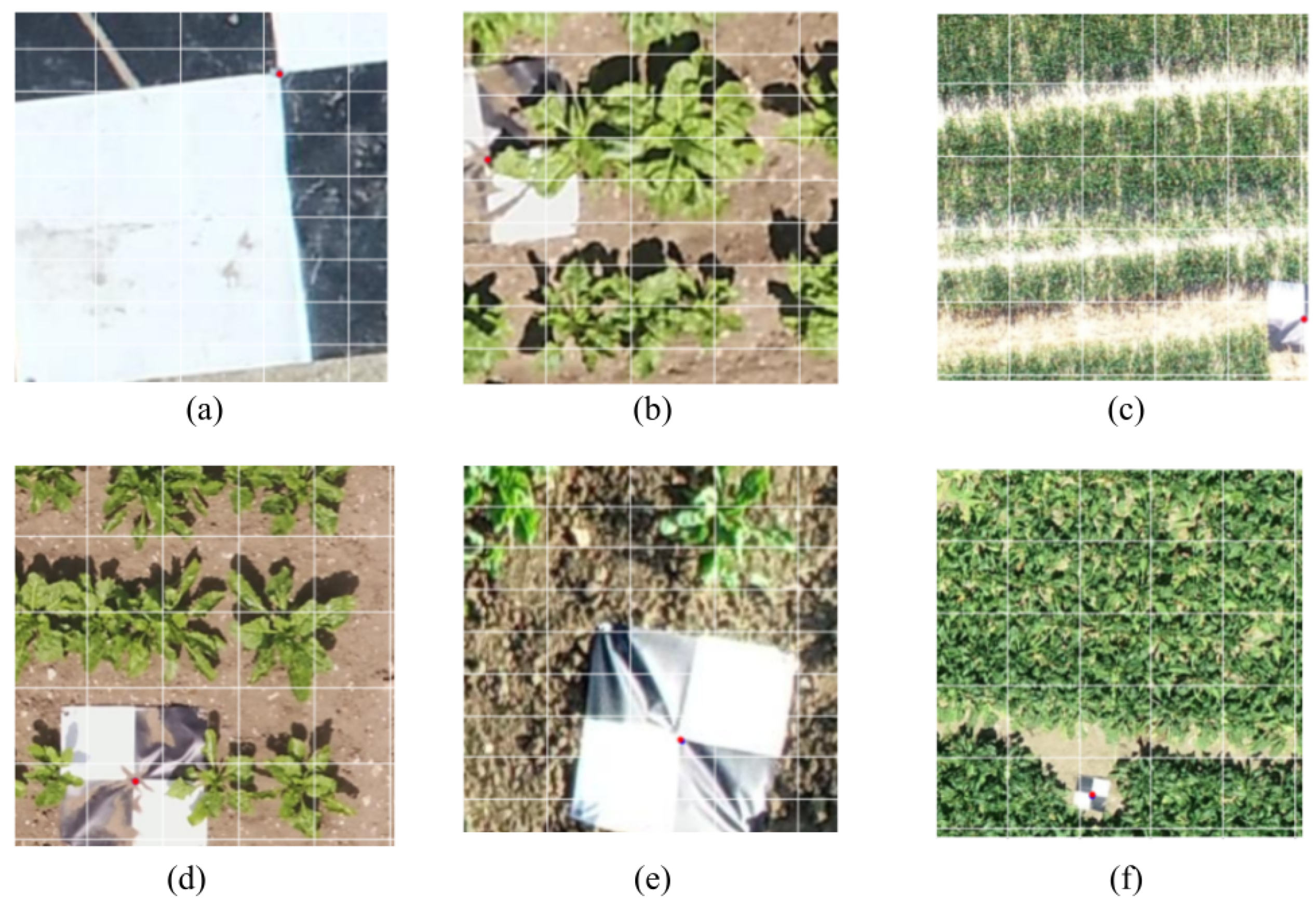 Remotesensing 16 00794 g020