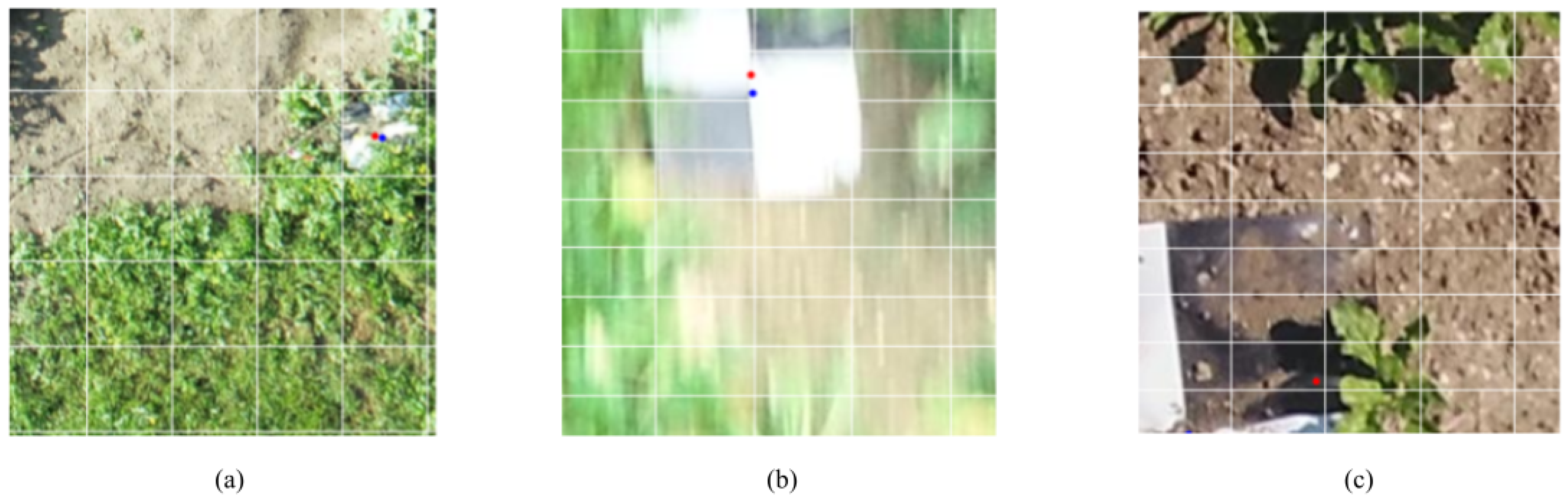 Remotesensing 16 00794 g021