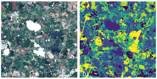 Remotesensing 16 00818 g011